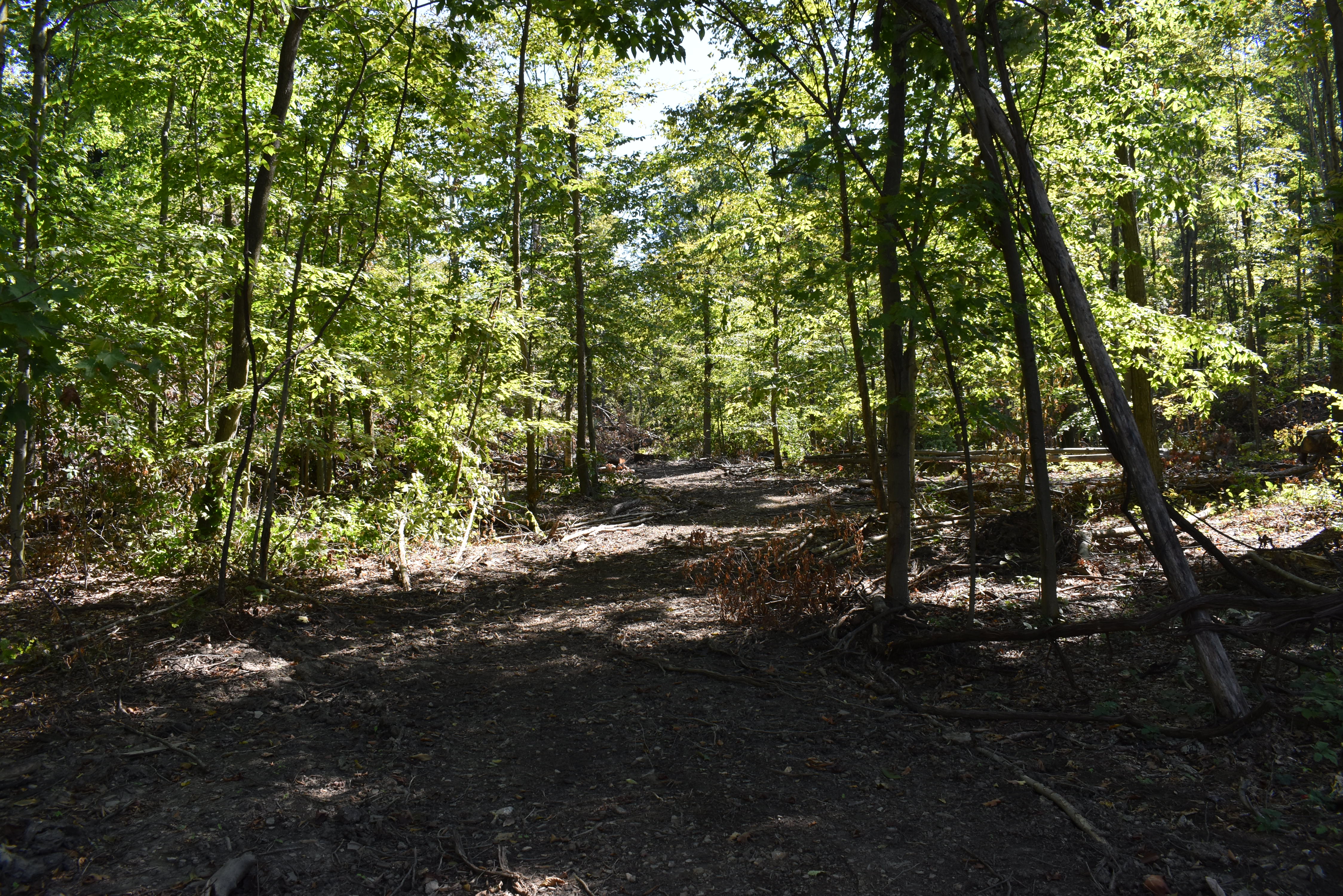 Hunter's Hidden Treasure