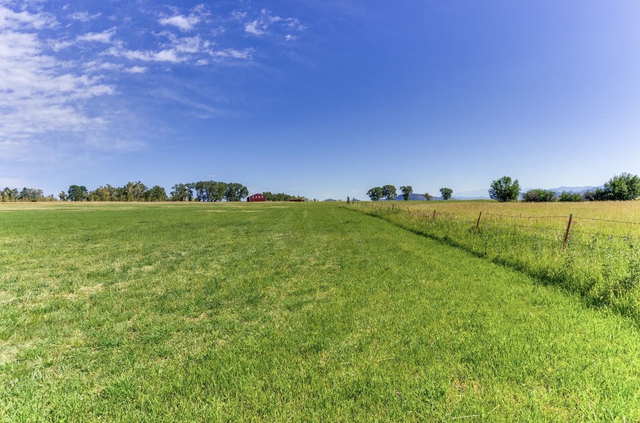 1290 Hill Country Road