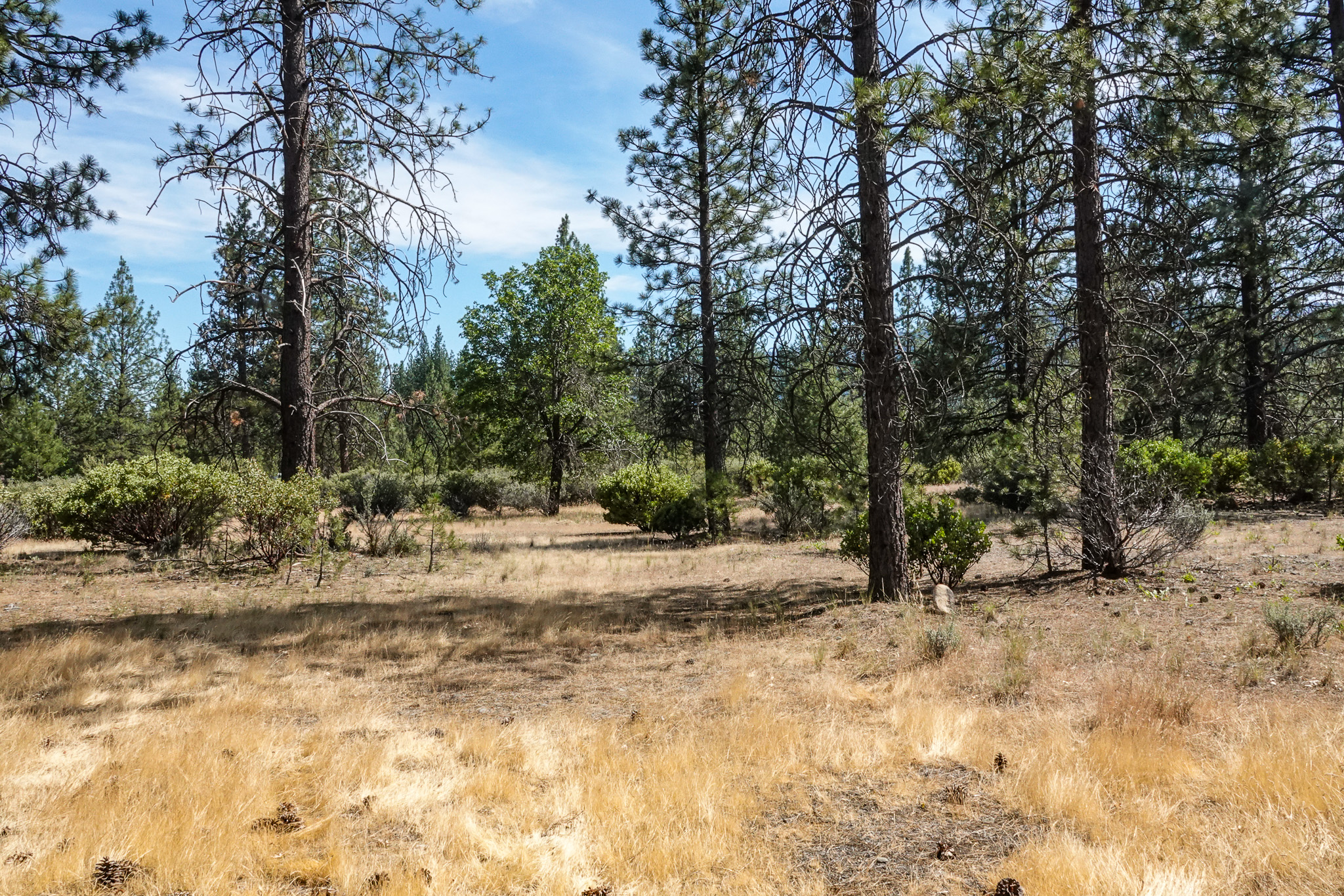 Listing Image 45