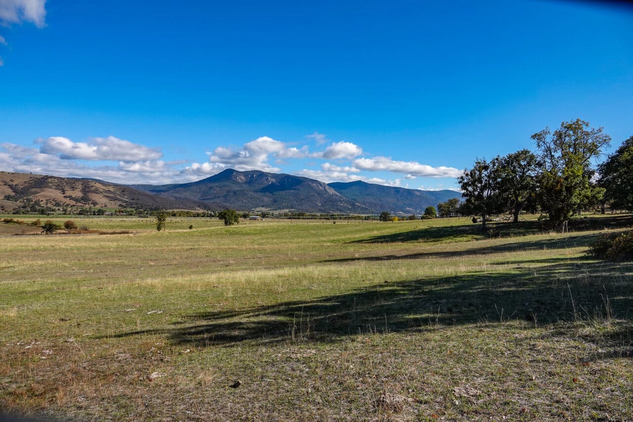 Listing Image 53