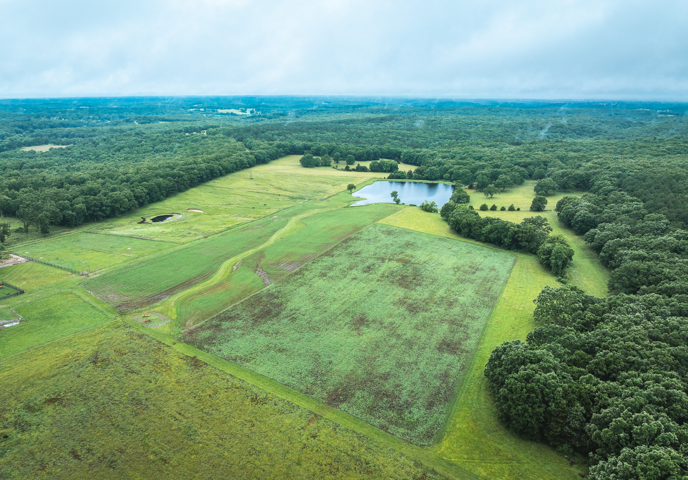 T-Cross Farm
