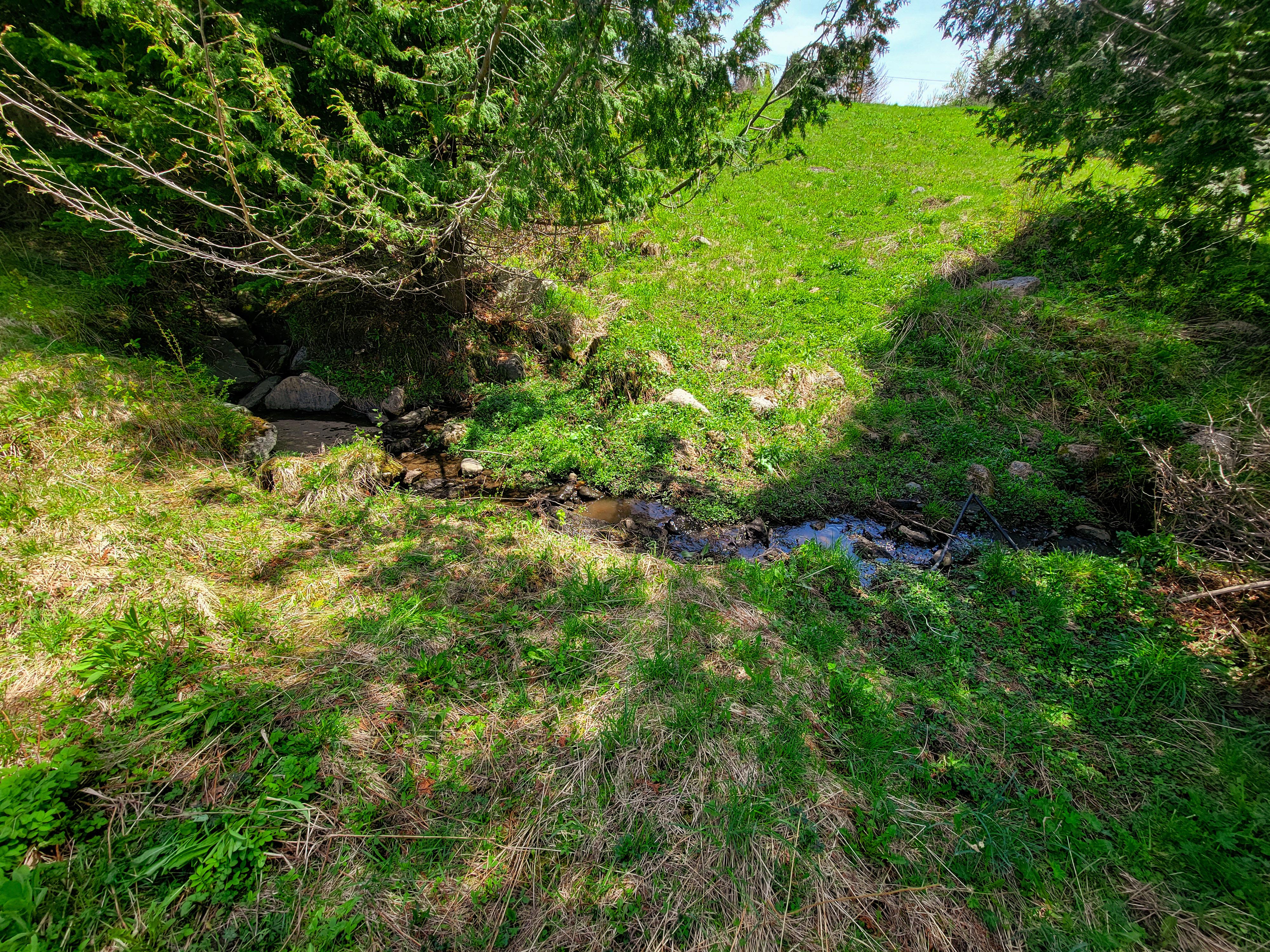 350 Hinton Hill Rd - Westmore