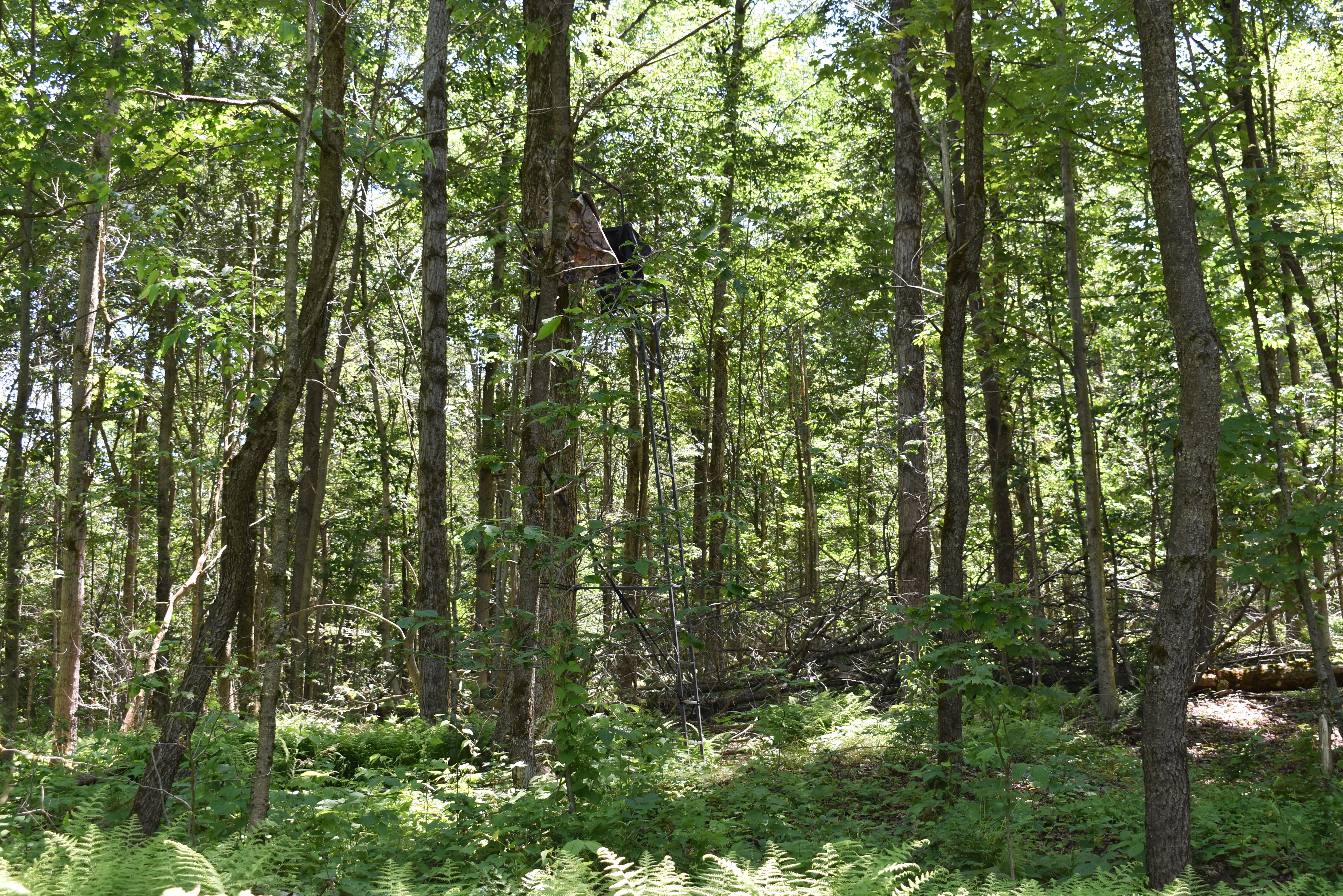 Fabulous Farrington Hollow