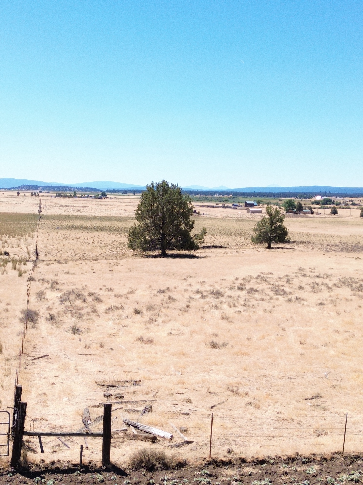 Crane Ranch