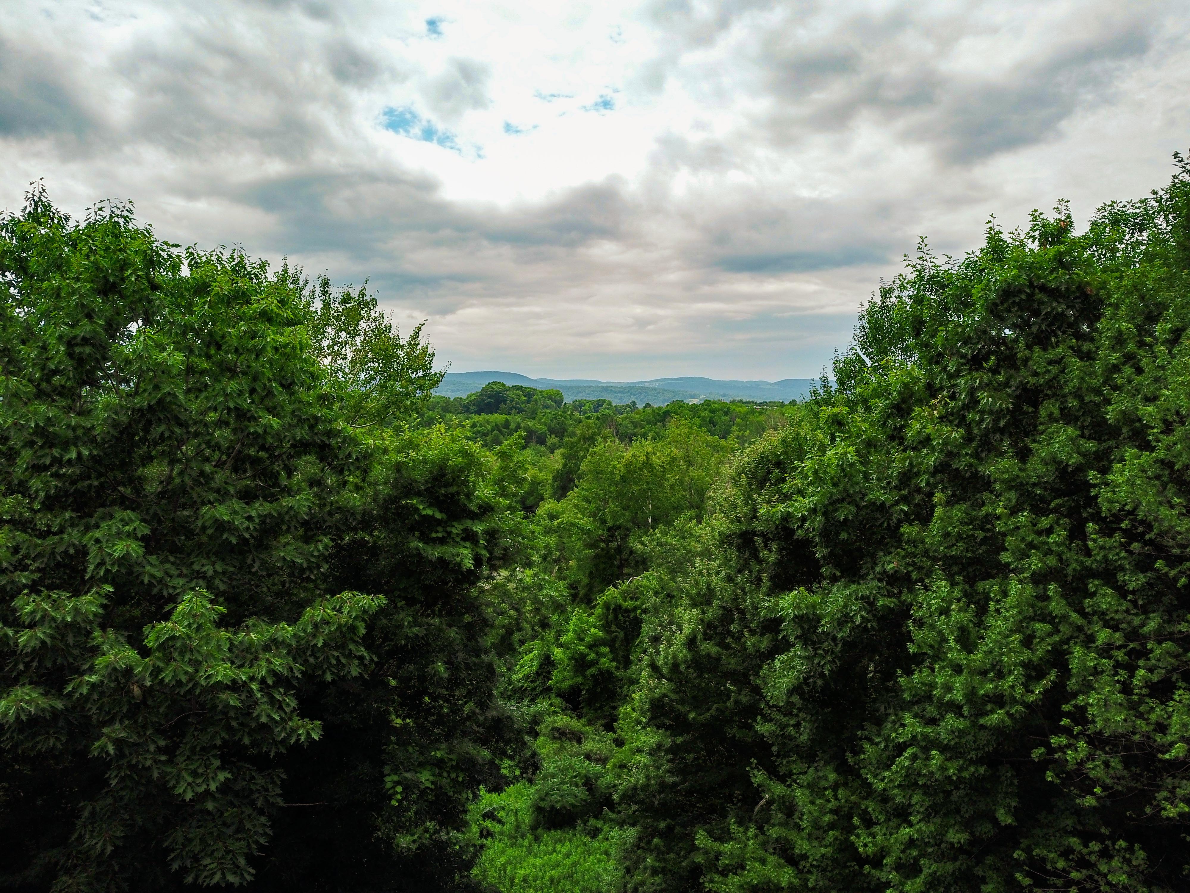 1073 Chapel Rd - Bennington
