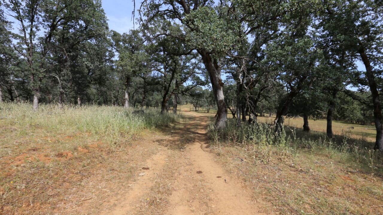 Listing Image 72