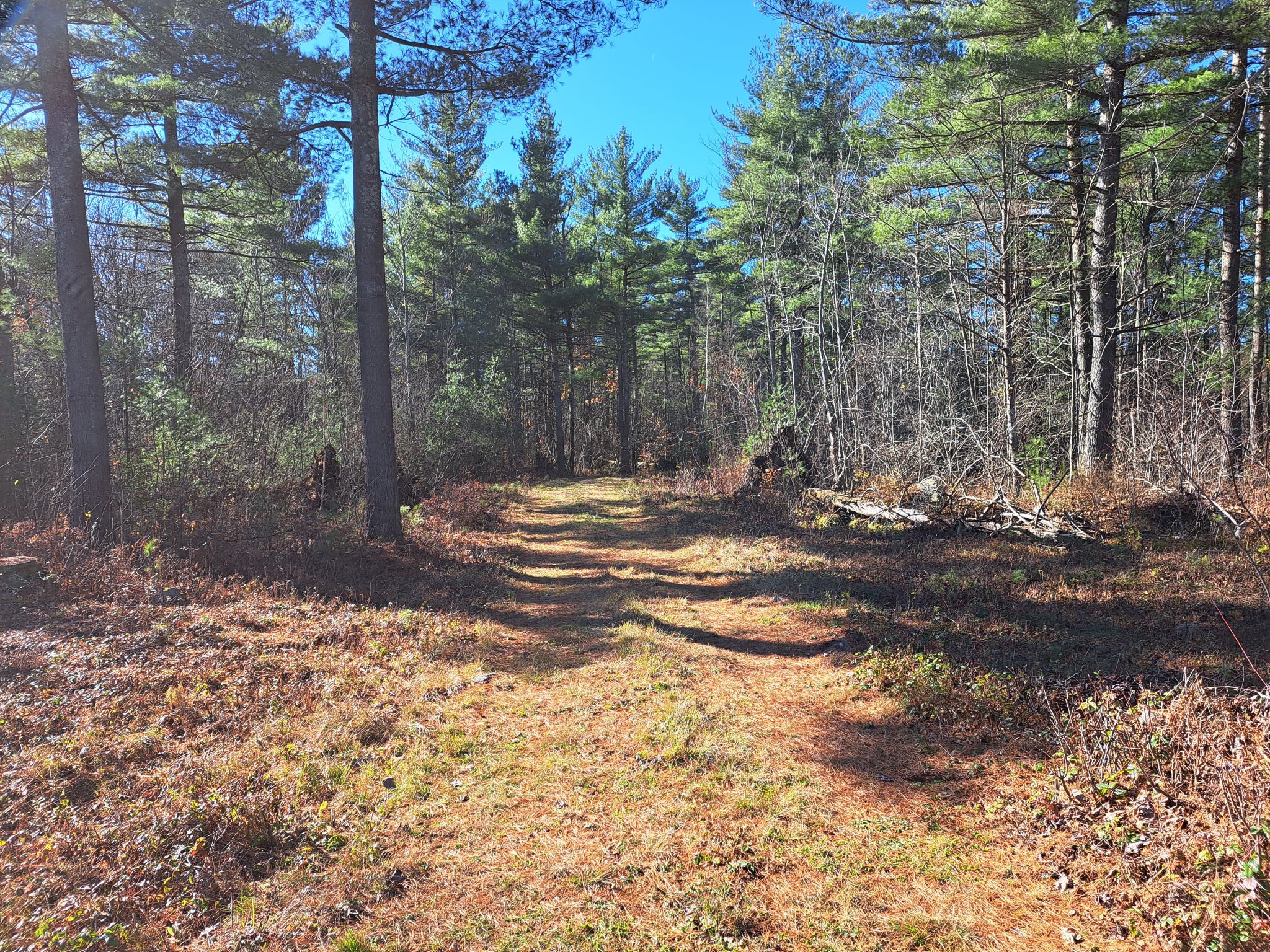 Listing Image 69