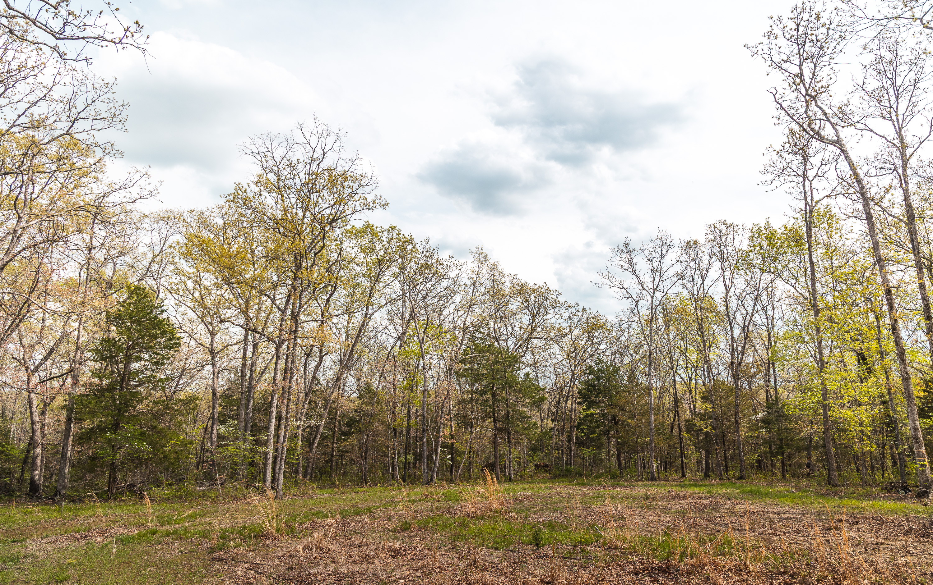 Buck Nest 32