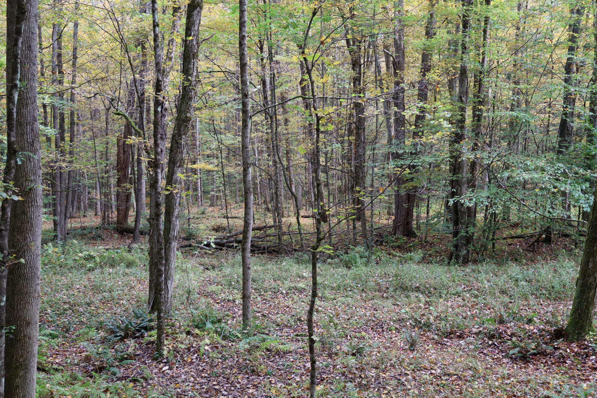 Listing Image 22