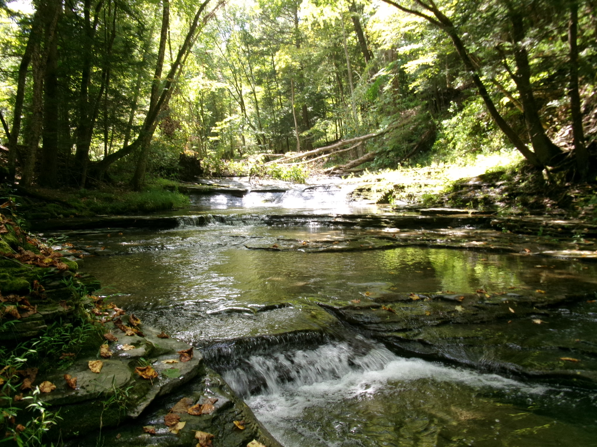 Listing Image 40