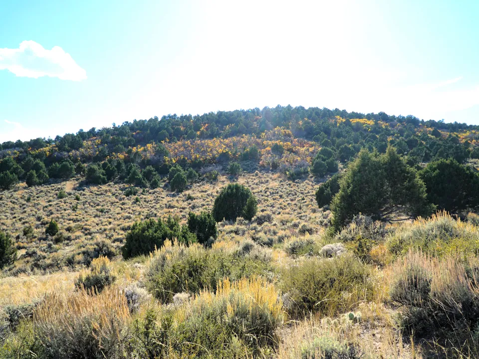 Maybell Grazing & Big Game Ranch