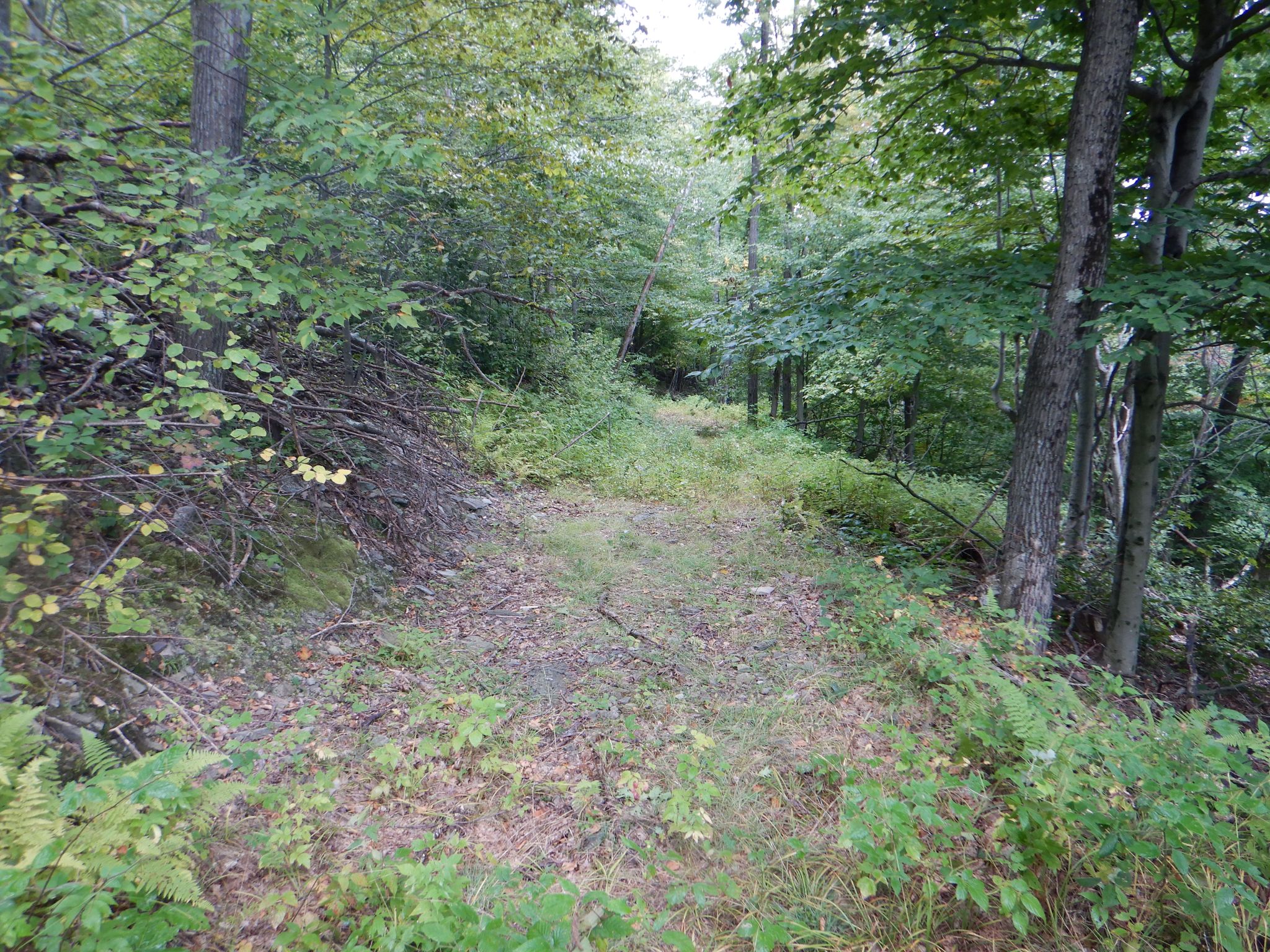 Listing Image 27