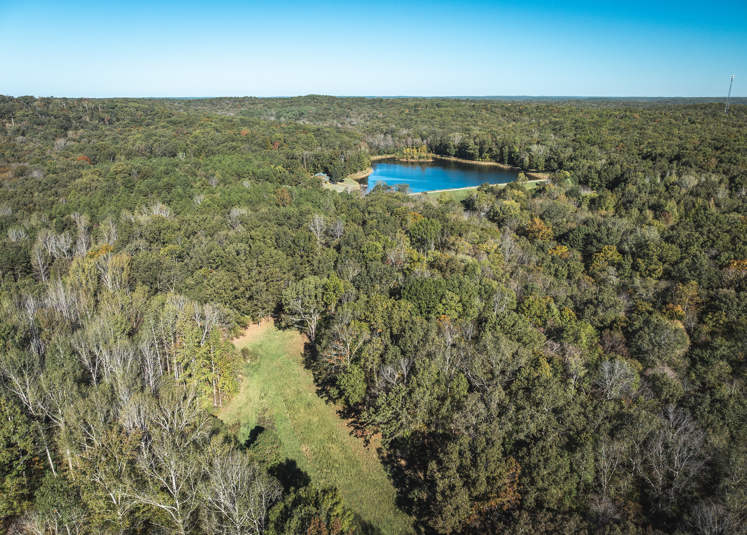 Listing Image 49