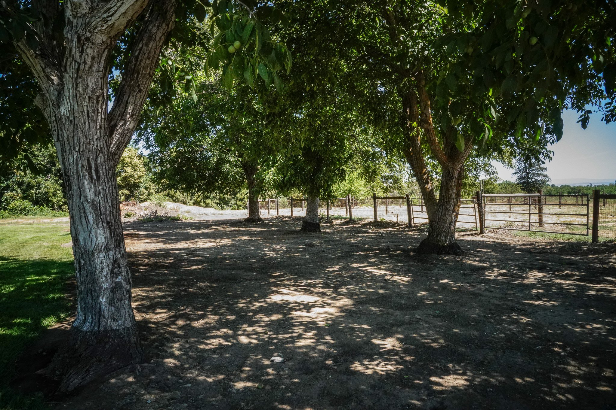 Woodard Ranch