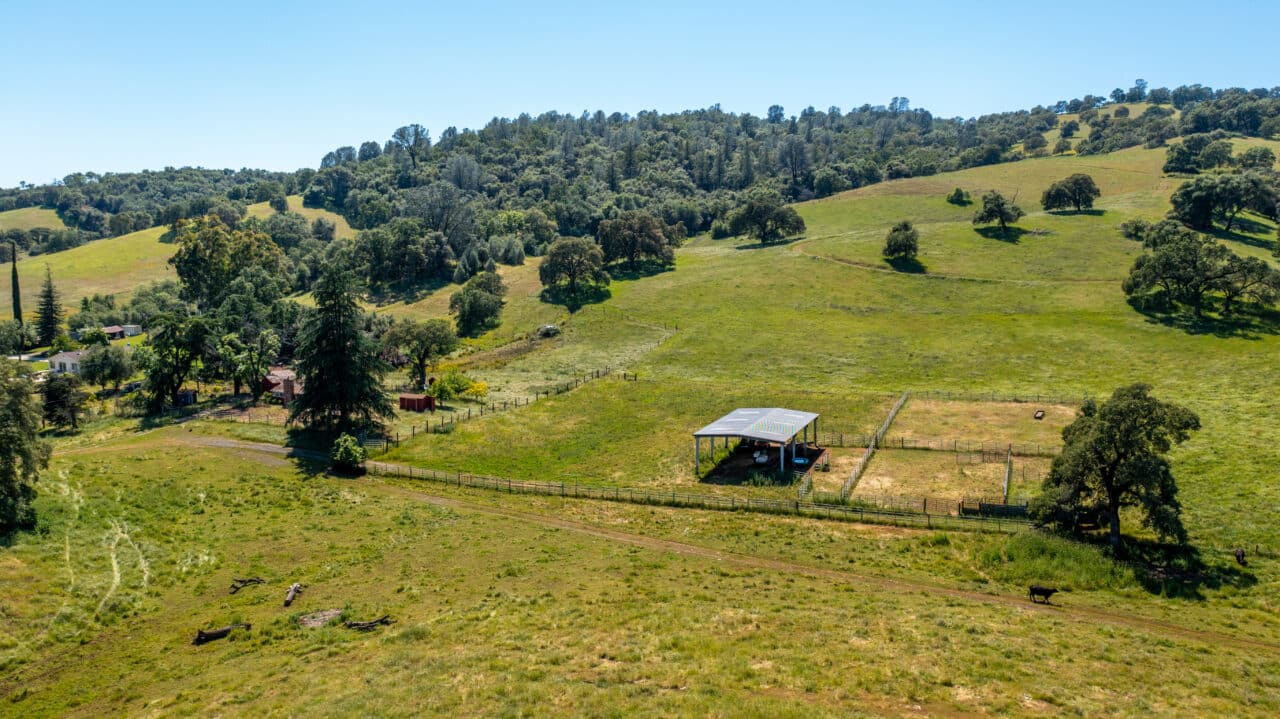 Listing Image 51