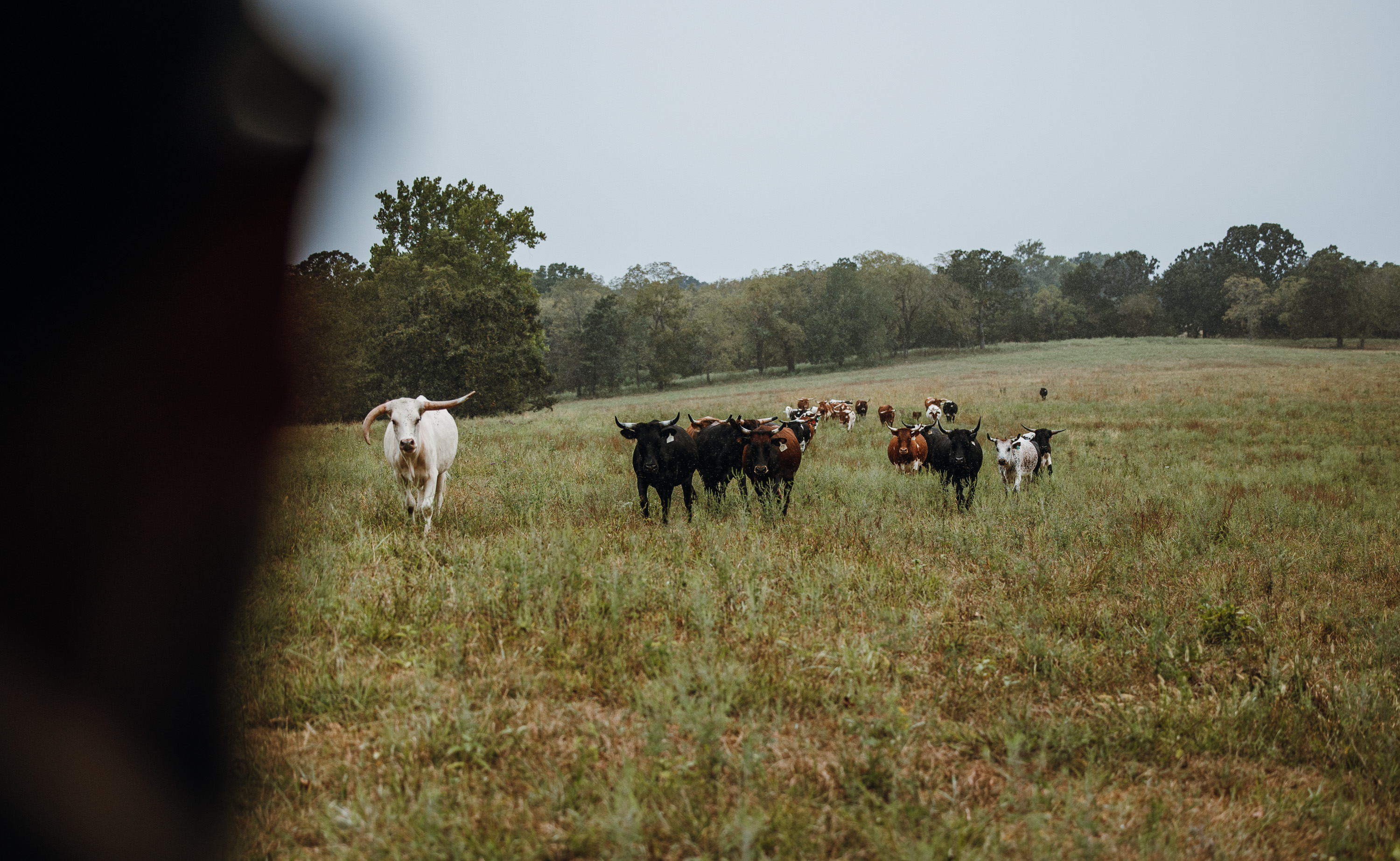 Twin Creek Farm