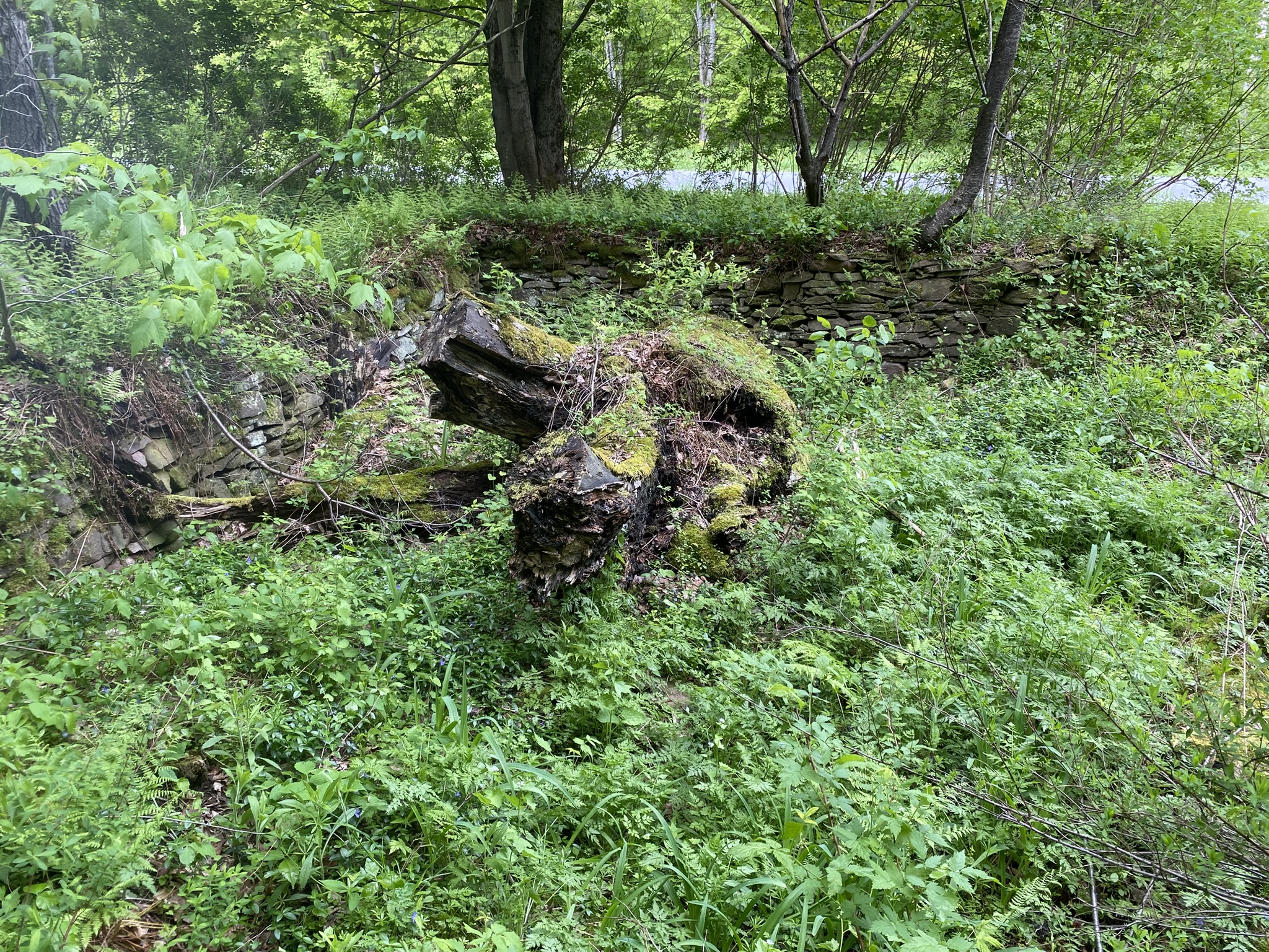 Little Salmon River Country