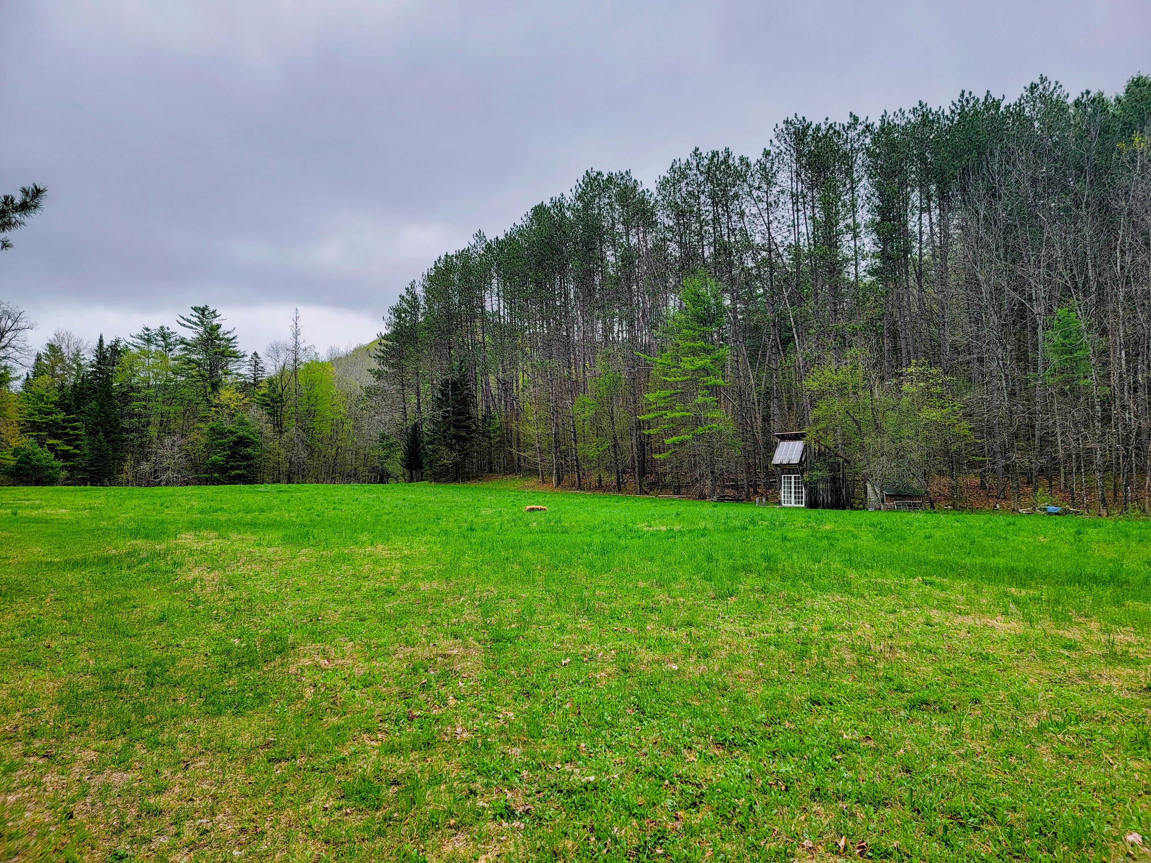 12 Meadowbrook Ln - Chelsea