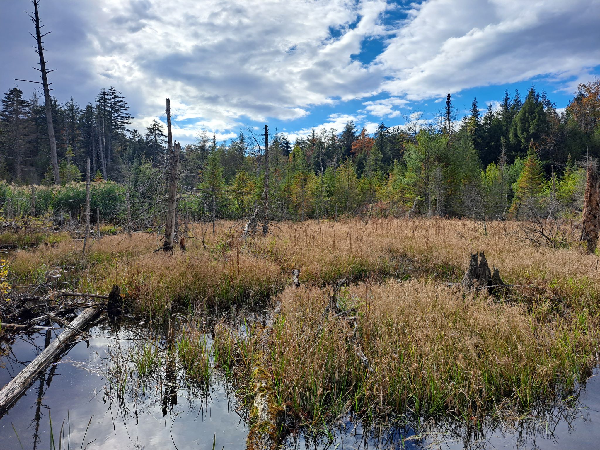 Hudson River Woods & Water