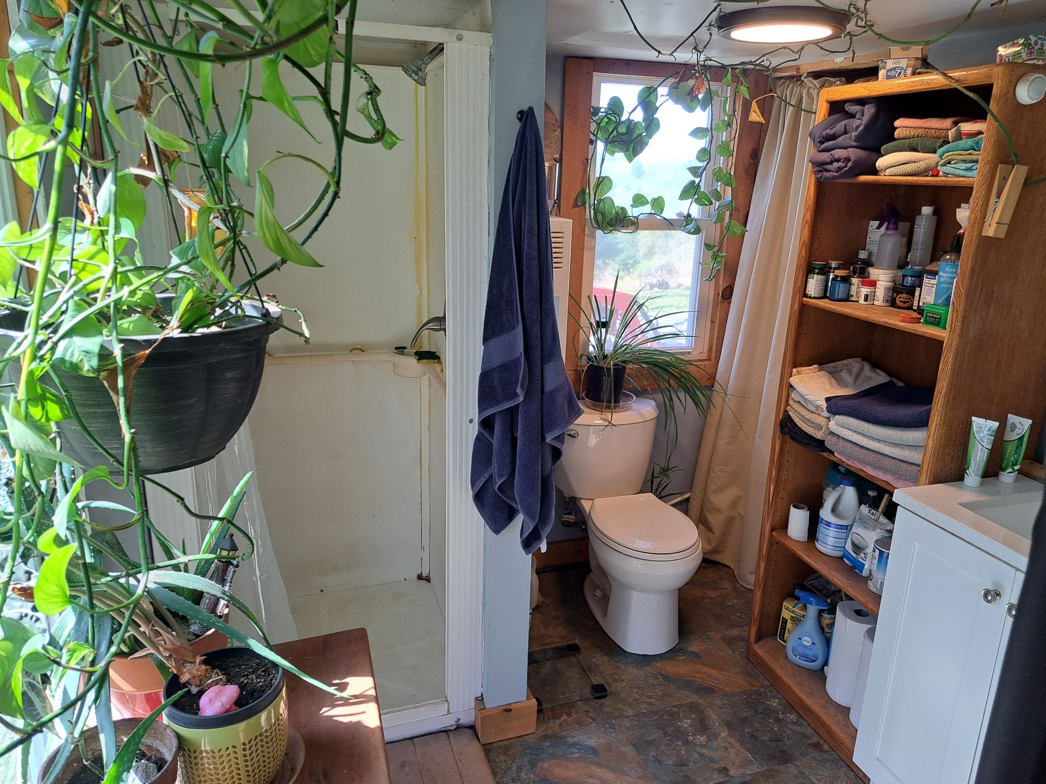 Listing Image 13
