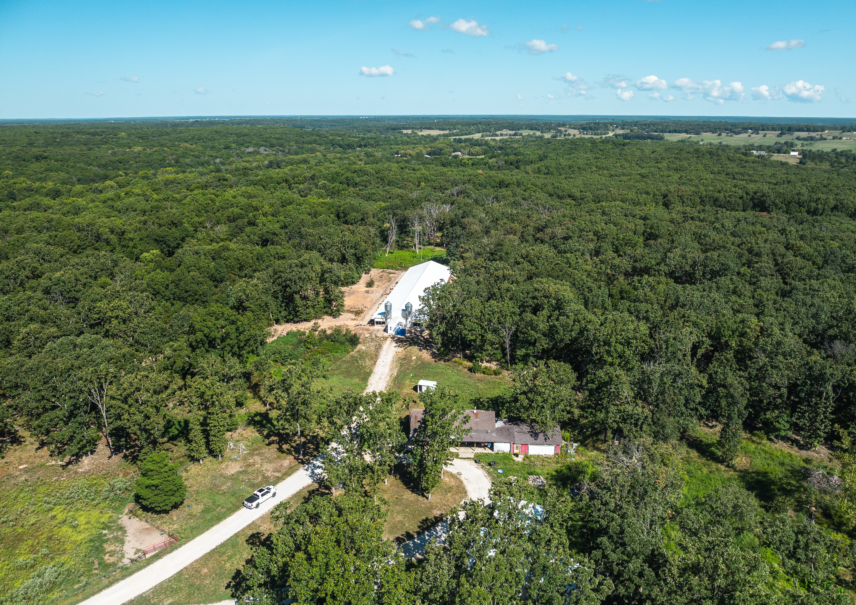 Cage Free Chicken Farm