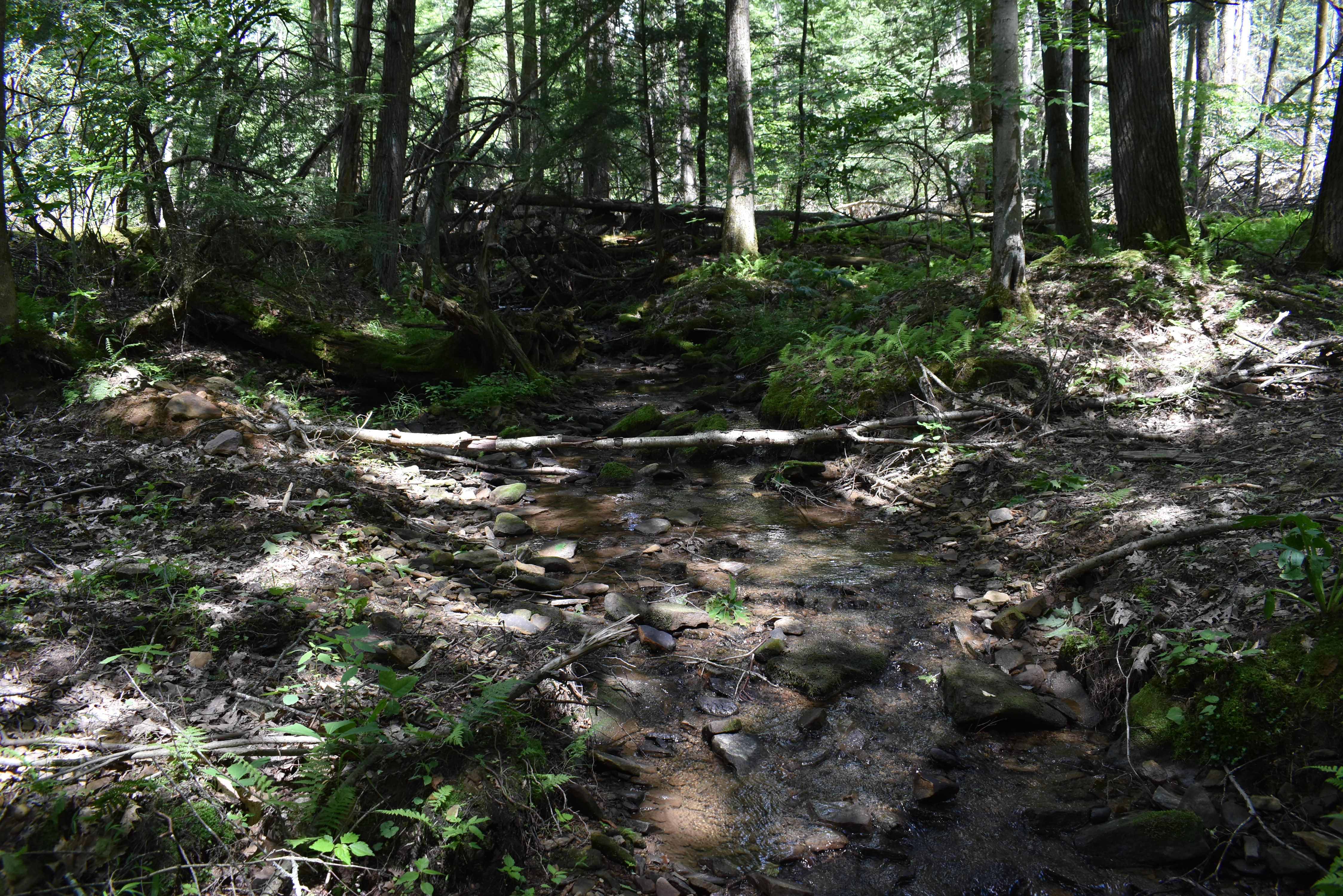 Listing Image 25