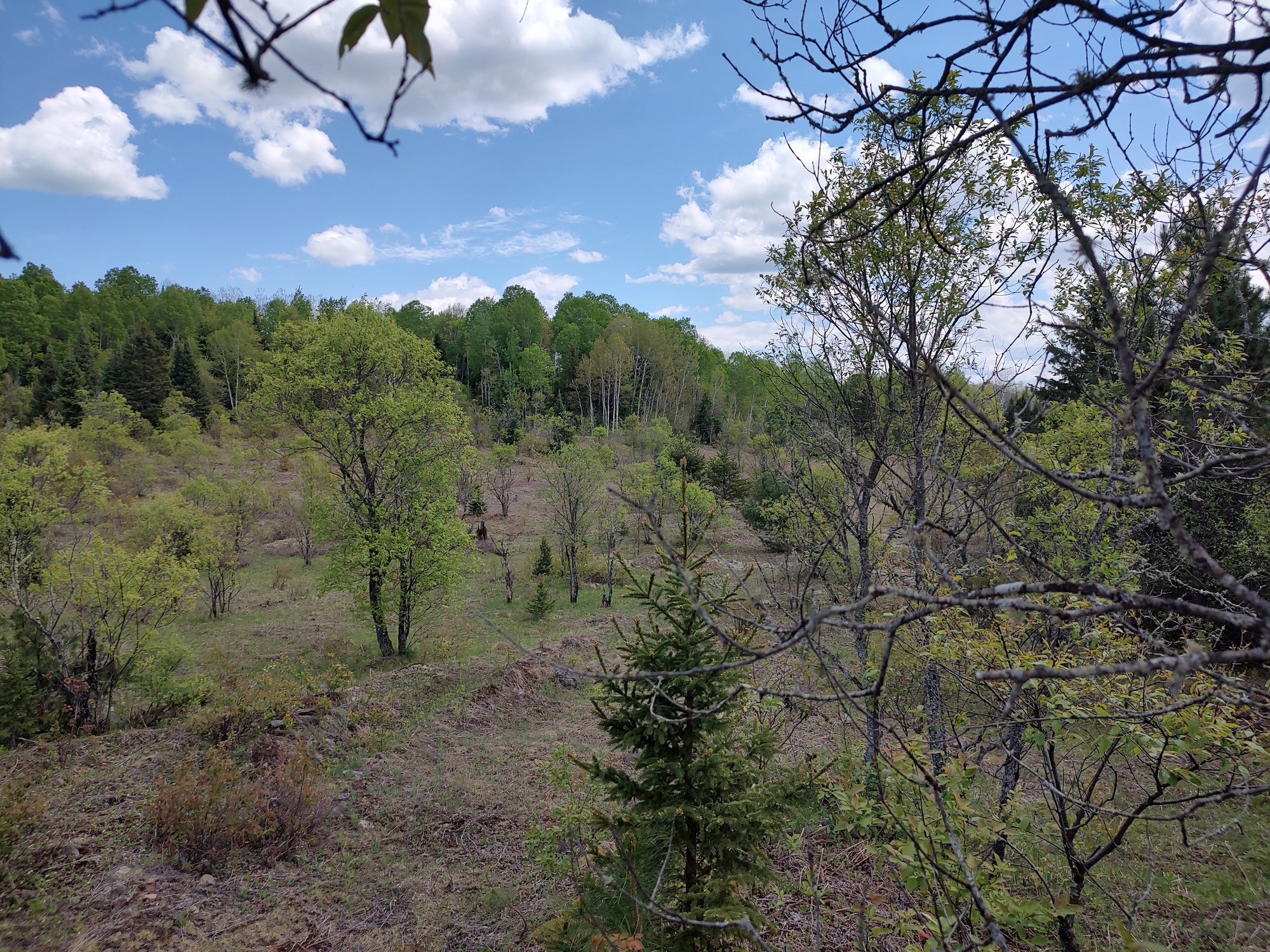 160 Acre Wilderness Retreat 50175391