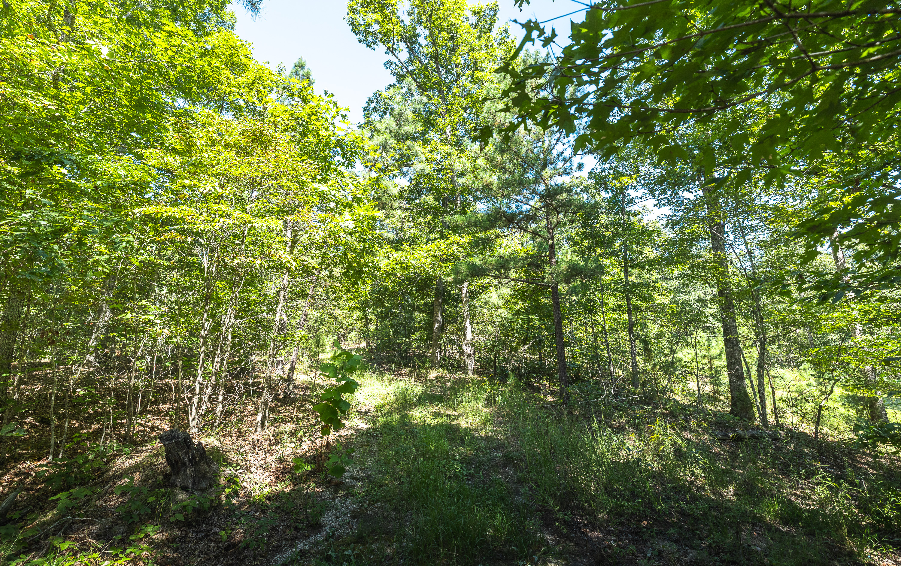 Ozark Wilderness Retreat