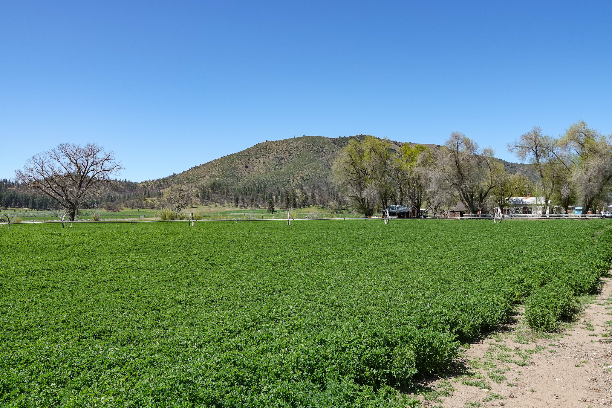 Kraus and Sons Ranch