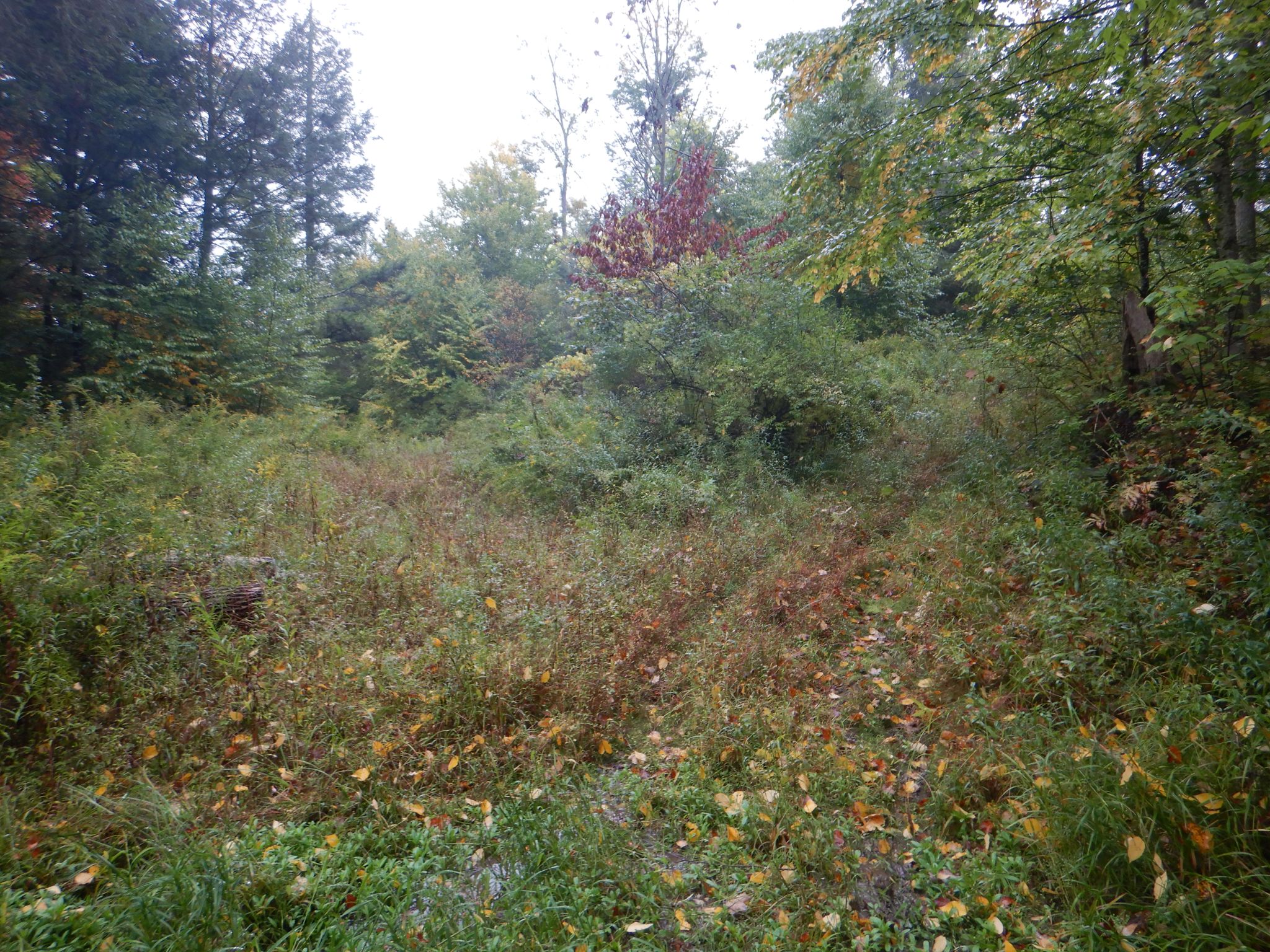 Listing Image 35
