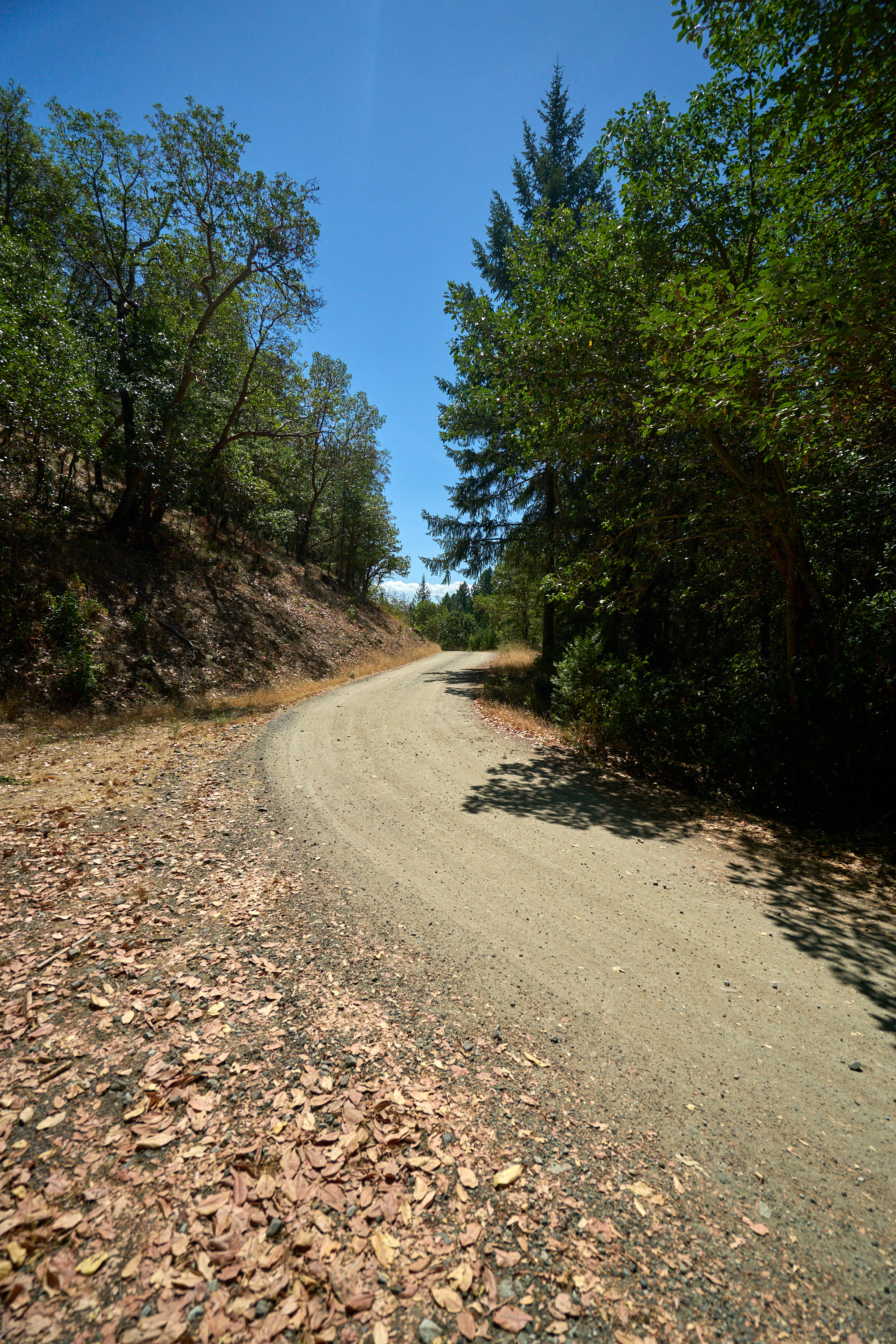1140 Tomahawk Drive