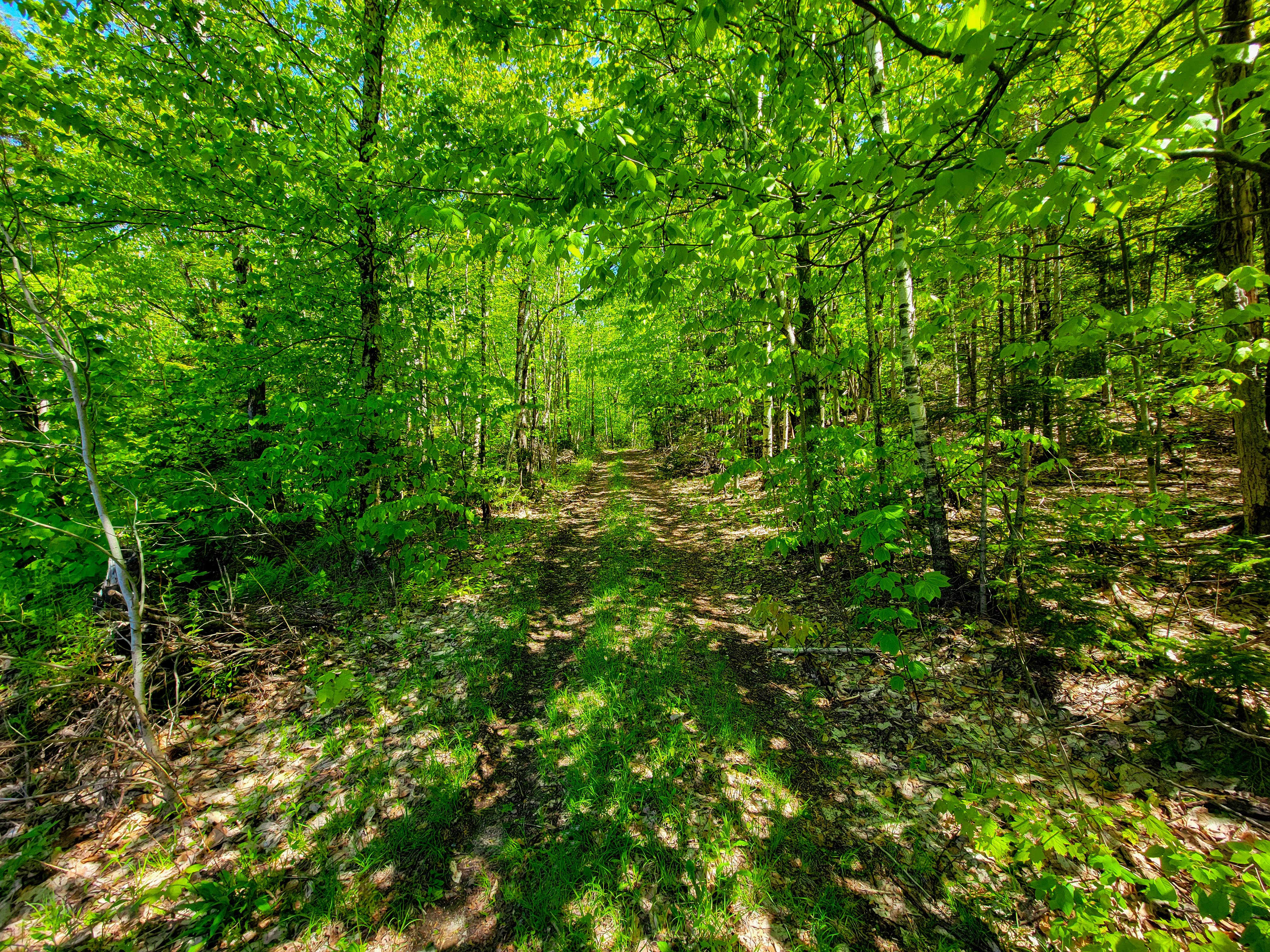 925 Hathaway Rd - Goshen
