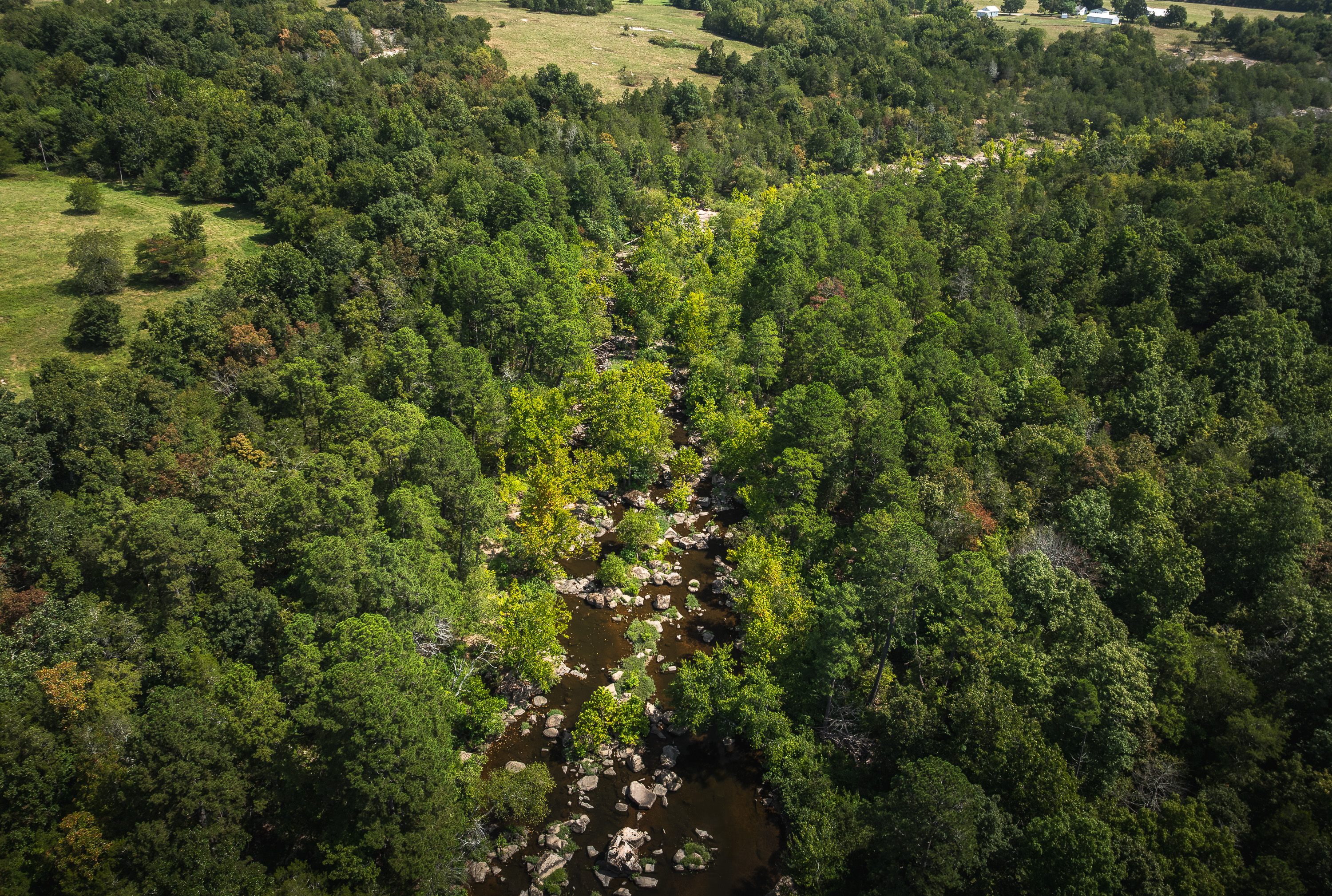 420 Acre Farm on Stouts Creek