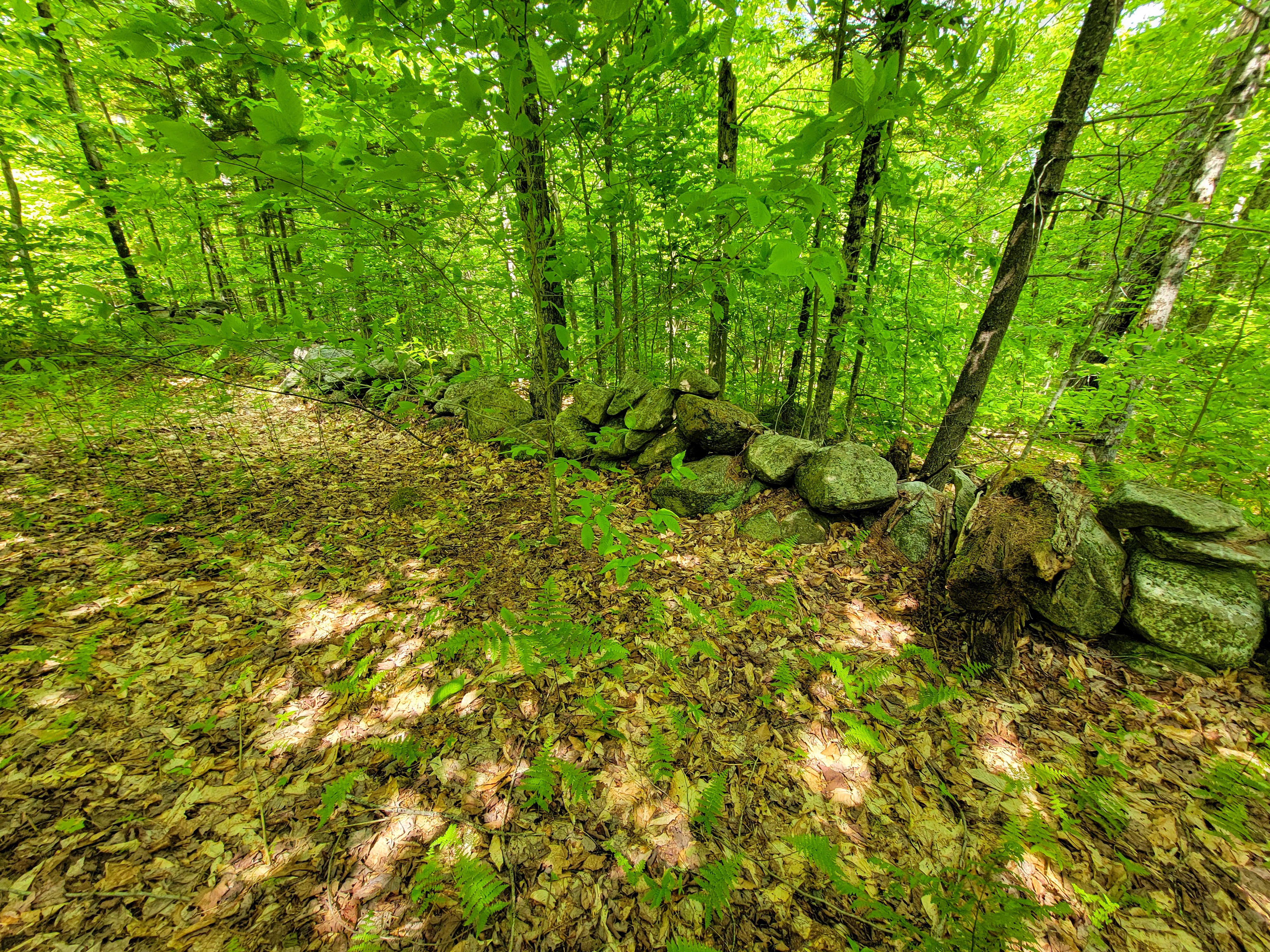 184 Schoolhouse Rd Jamaica