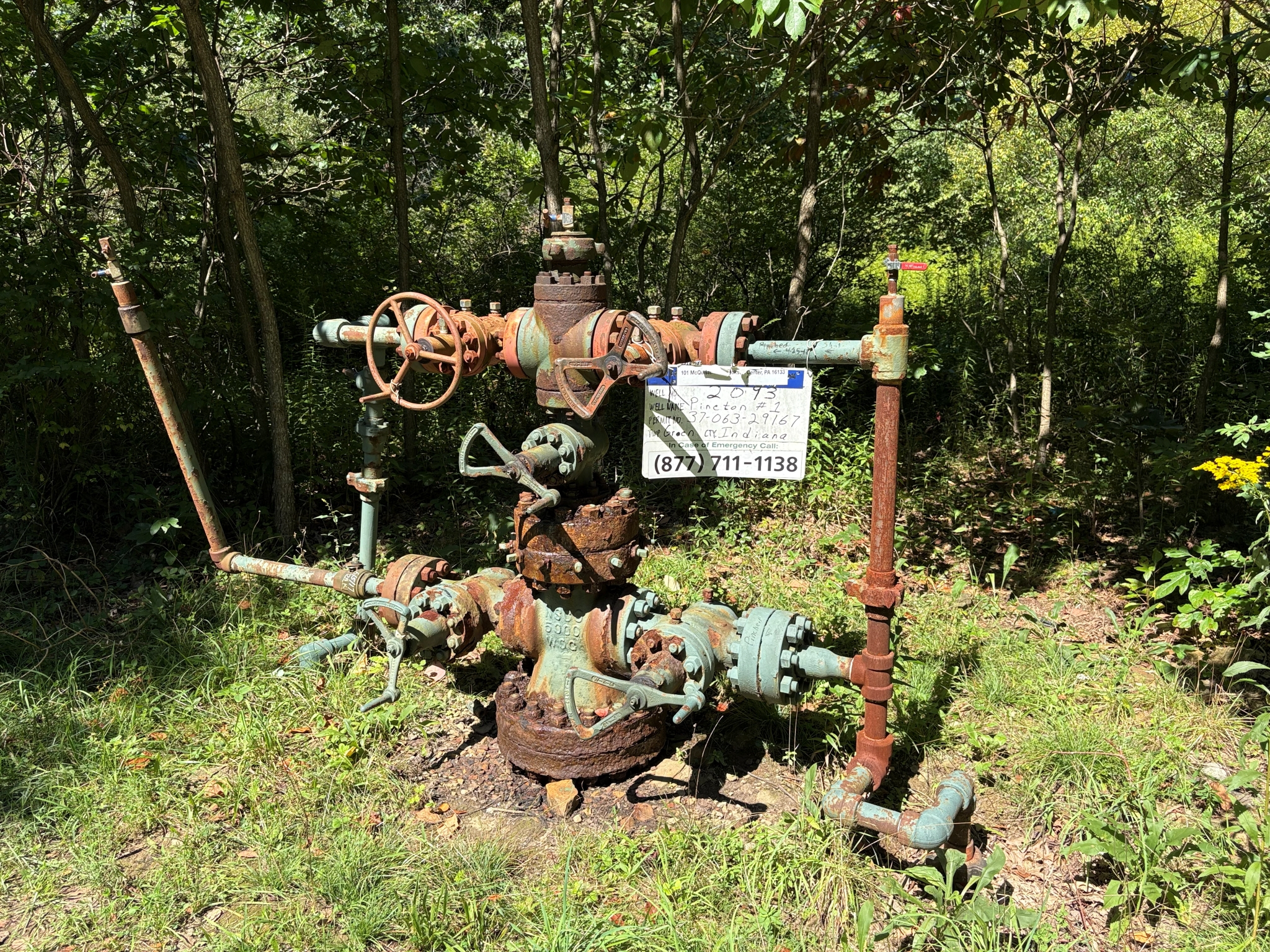 Listing Image 20