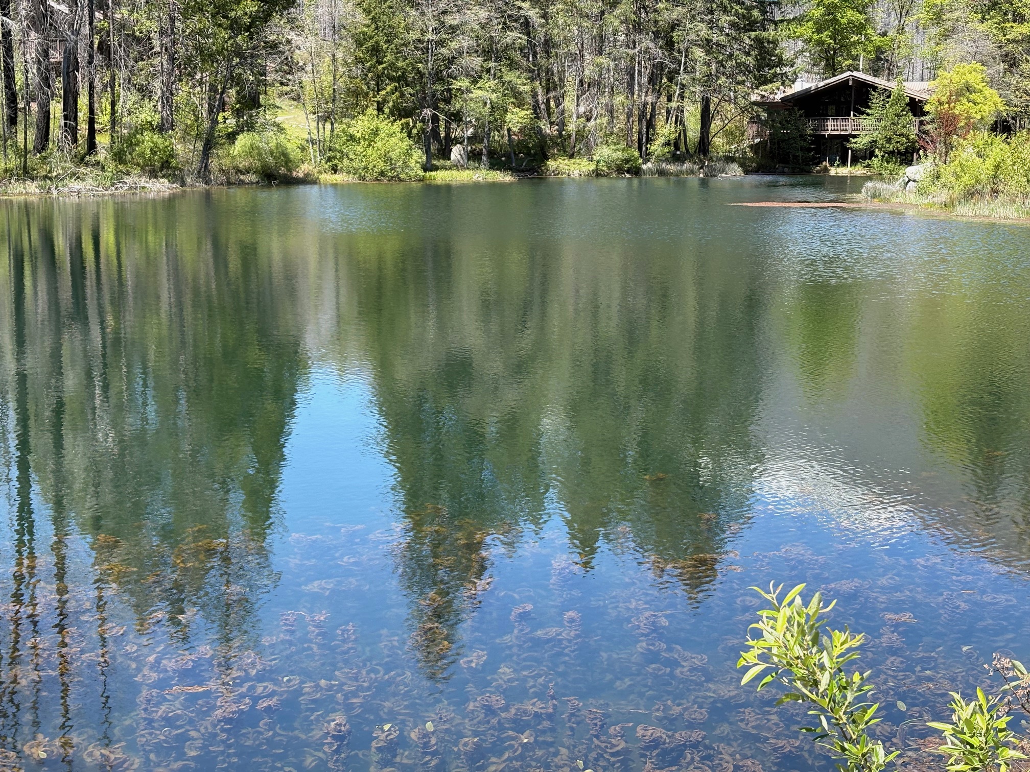 Almay Ranch