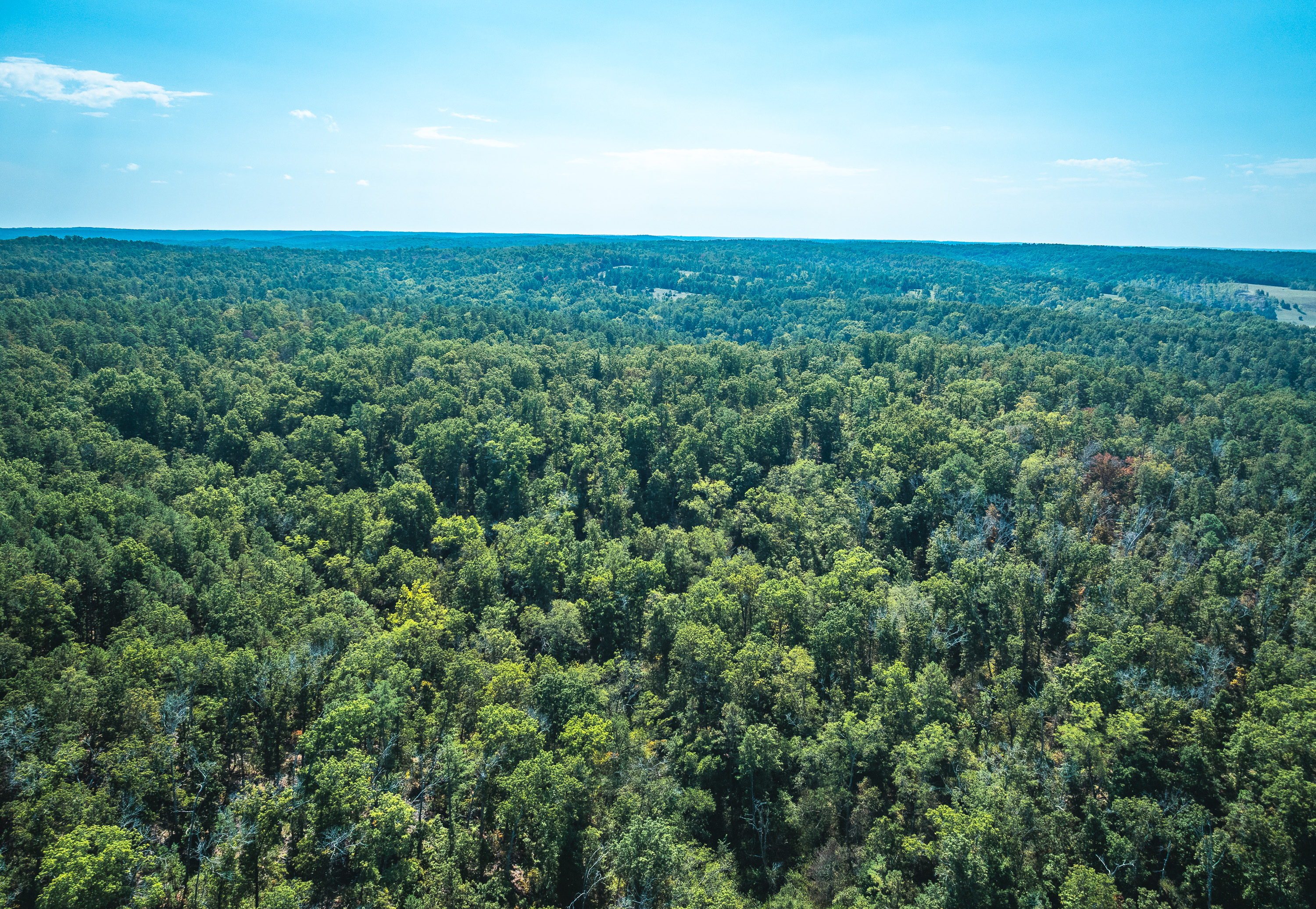 Ashley Creek Ranch 329