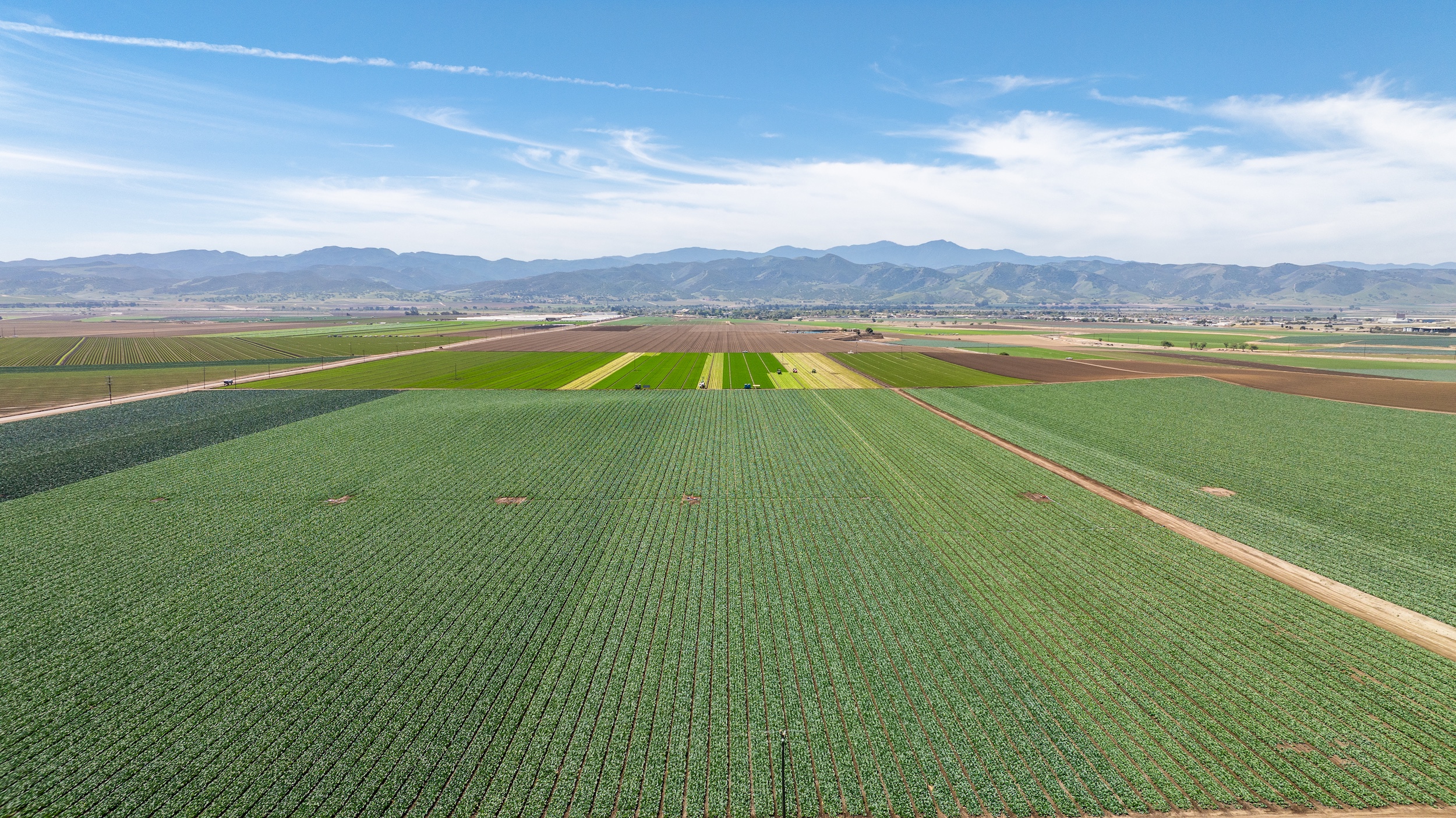 Reynolds Land & Cattle Co. Farmland