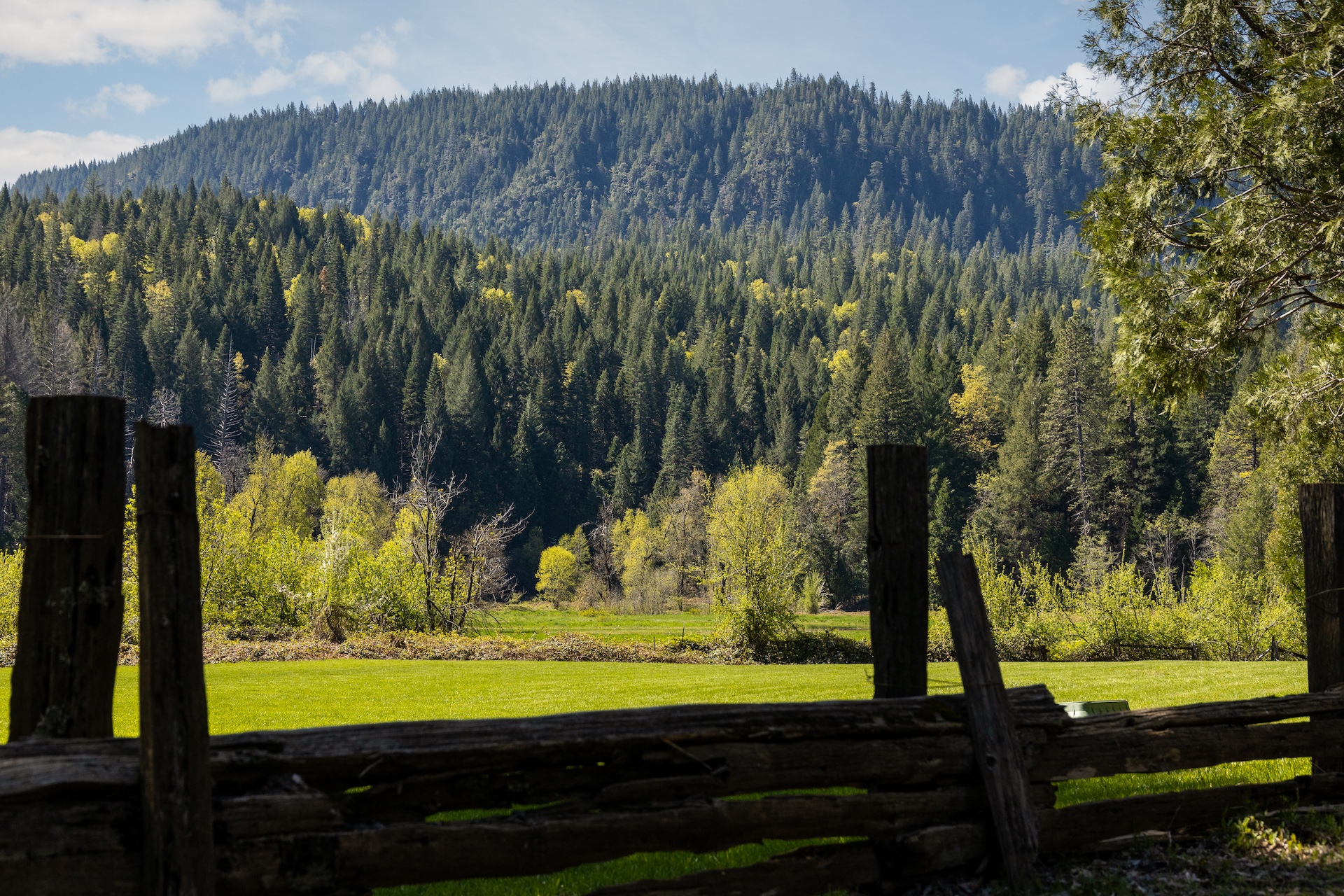 Hayes Springs Ranch