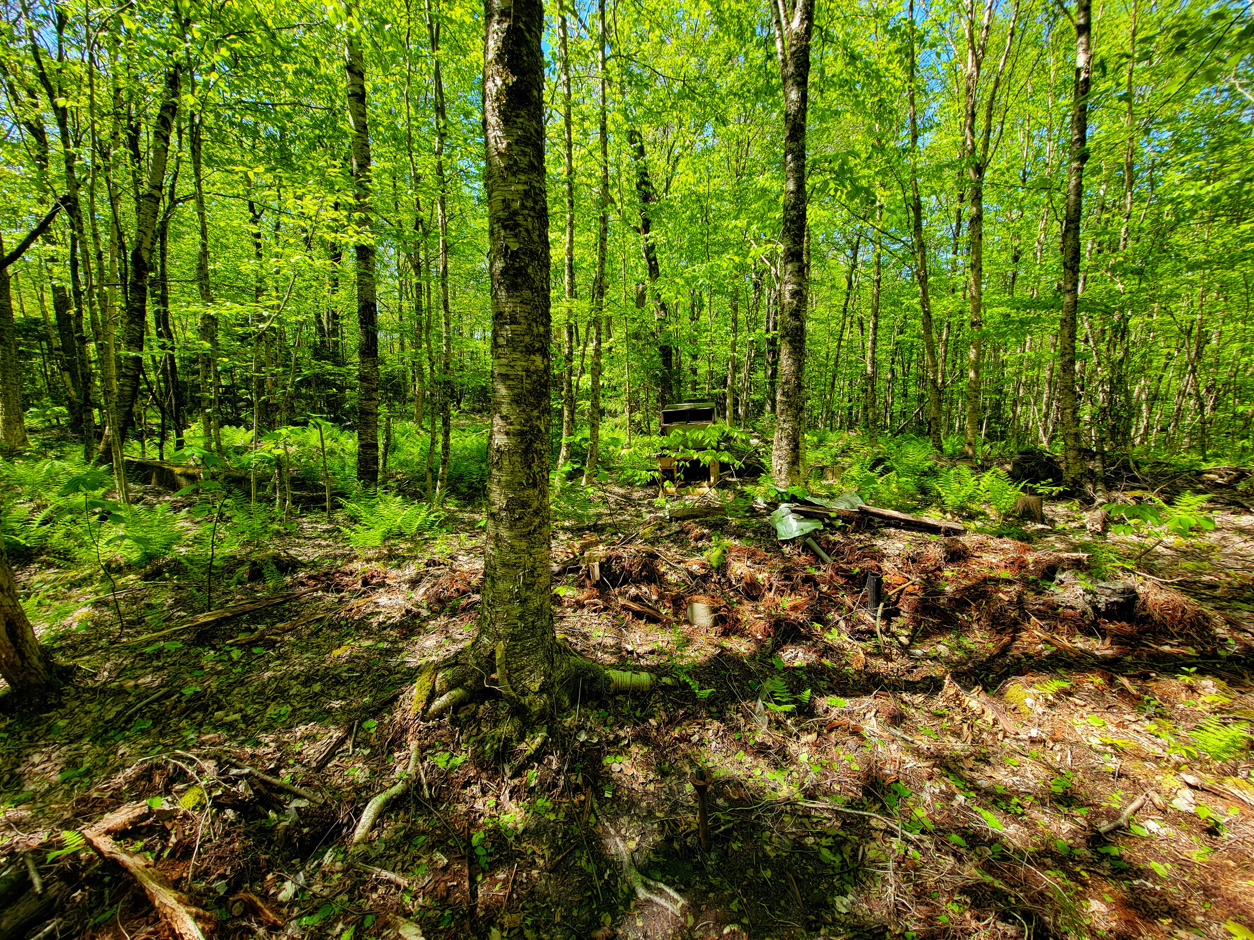 925 Hathaway Rd - Goshen