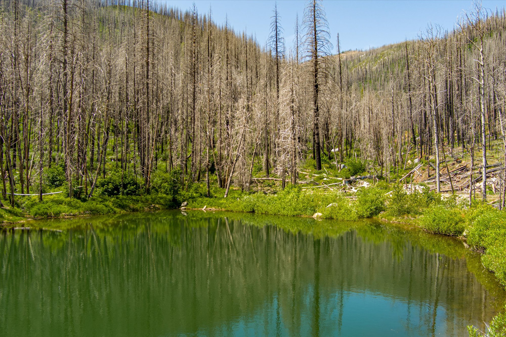 Almay Ranch