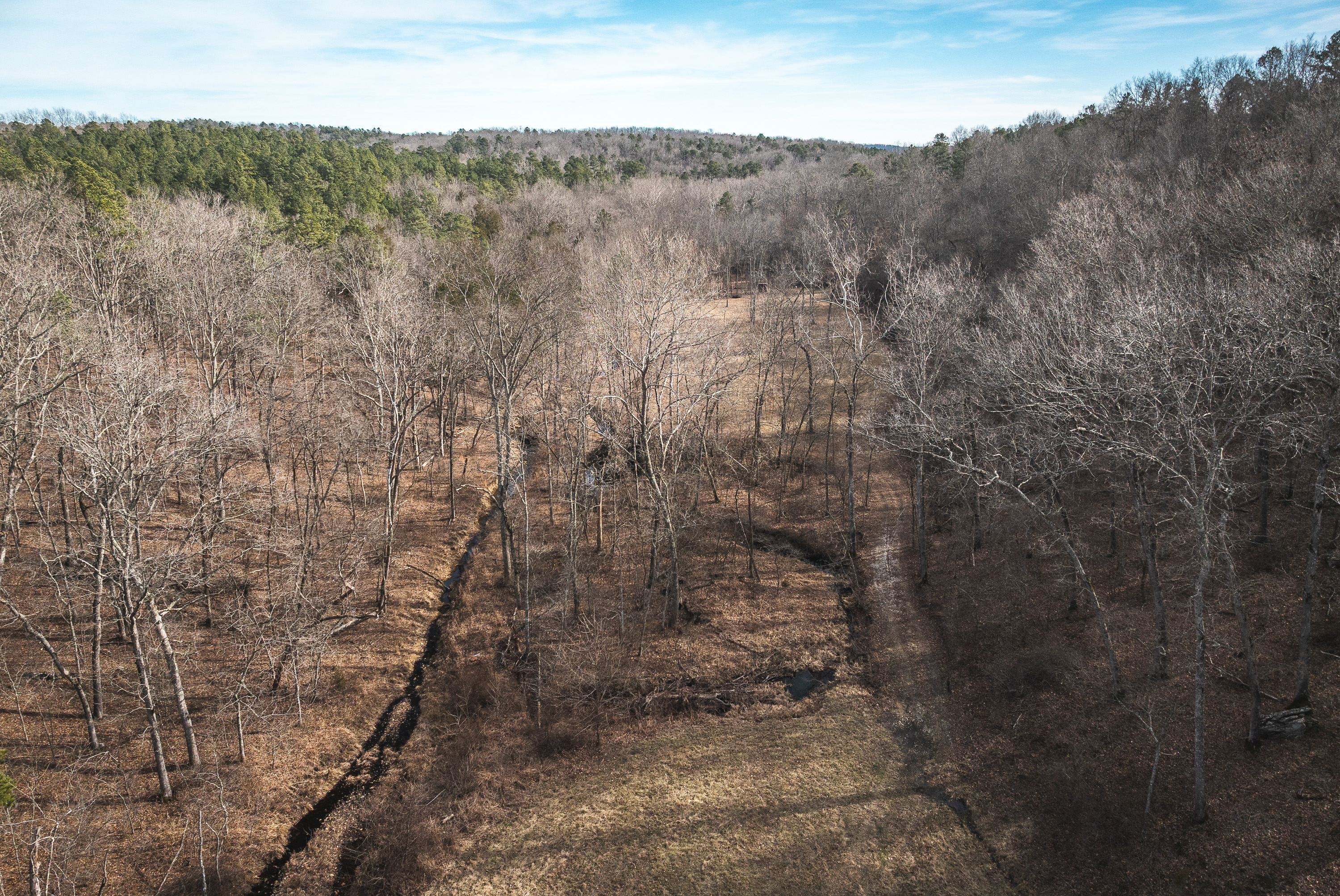 Curly Hole Camp at Peterball Spring