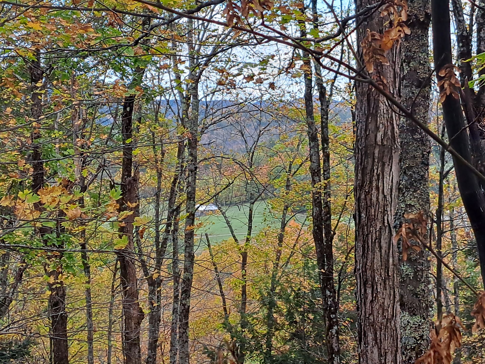 Hudson River Woods & Water