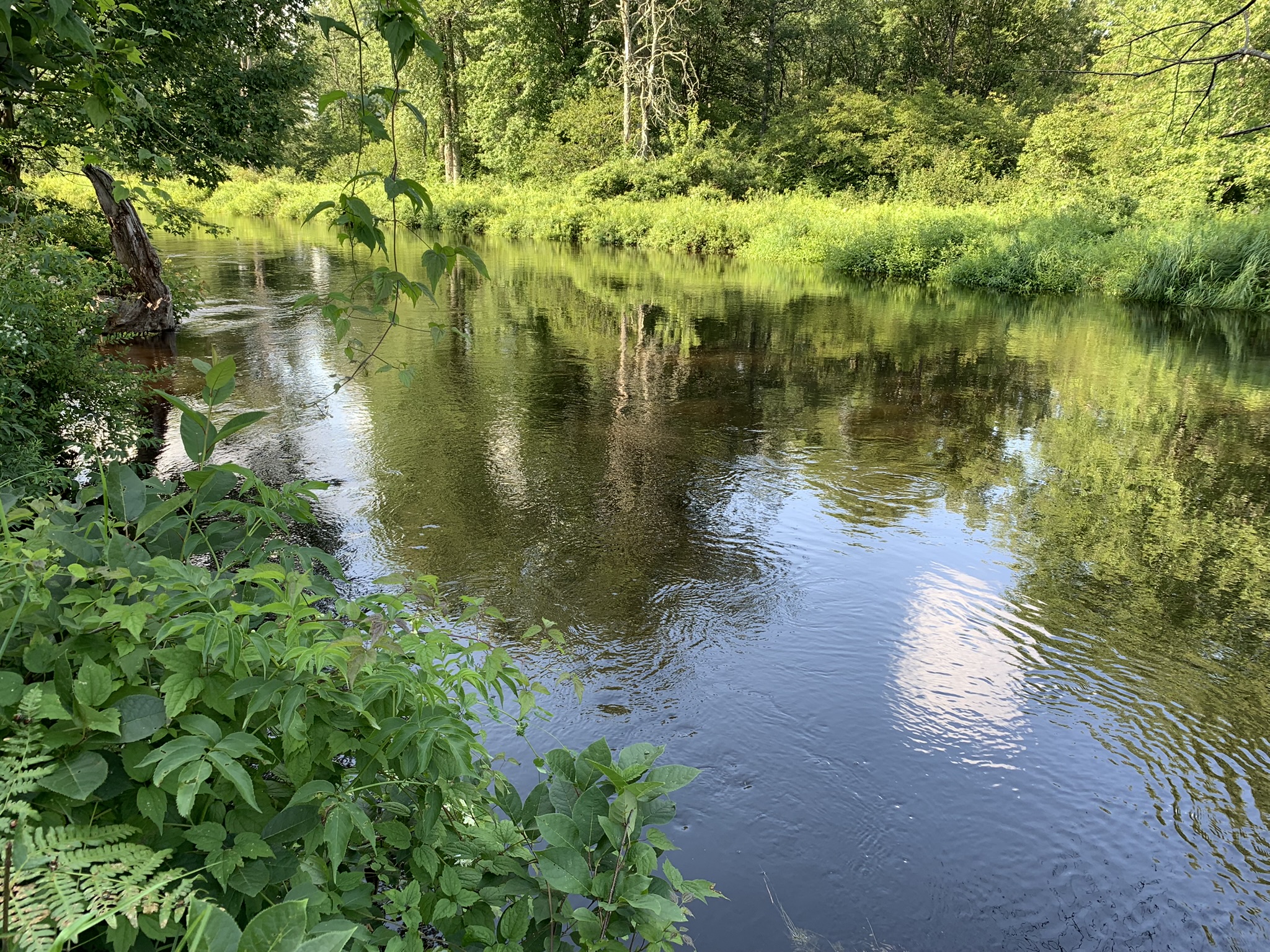 Middle Branch of the Oswegatchie