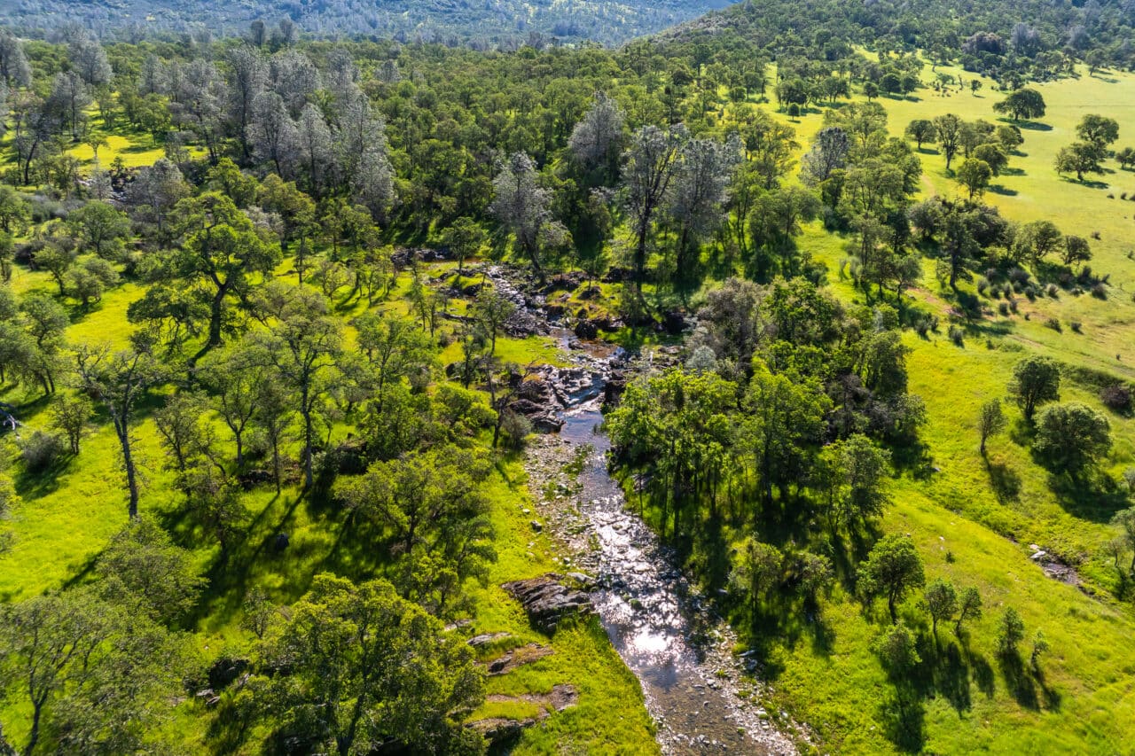 The Gann Ranch