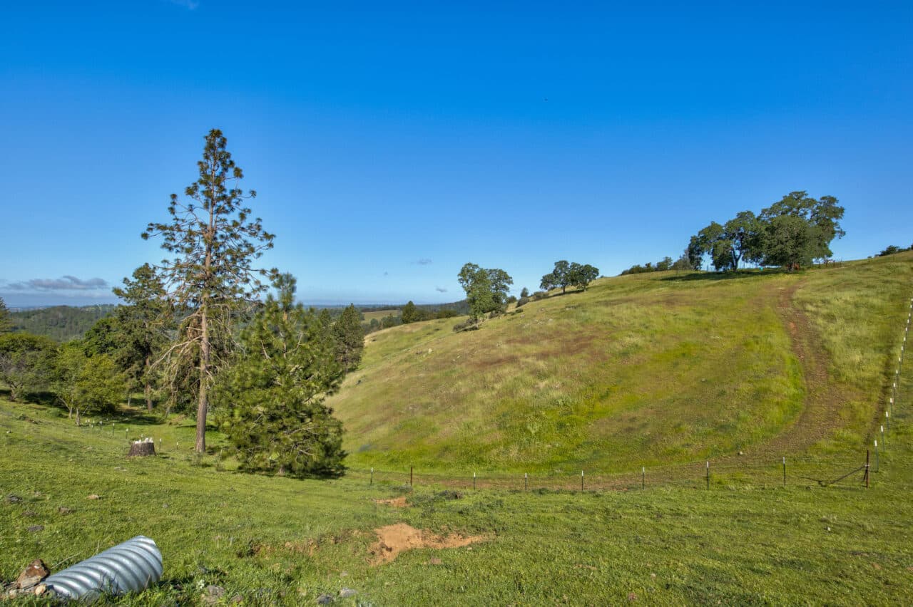 Trembath Mountain Vista