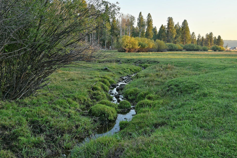 Listing Image 48
