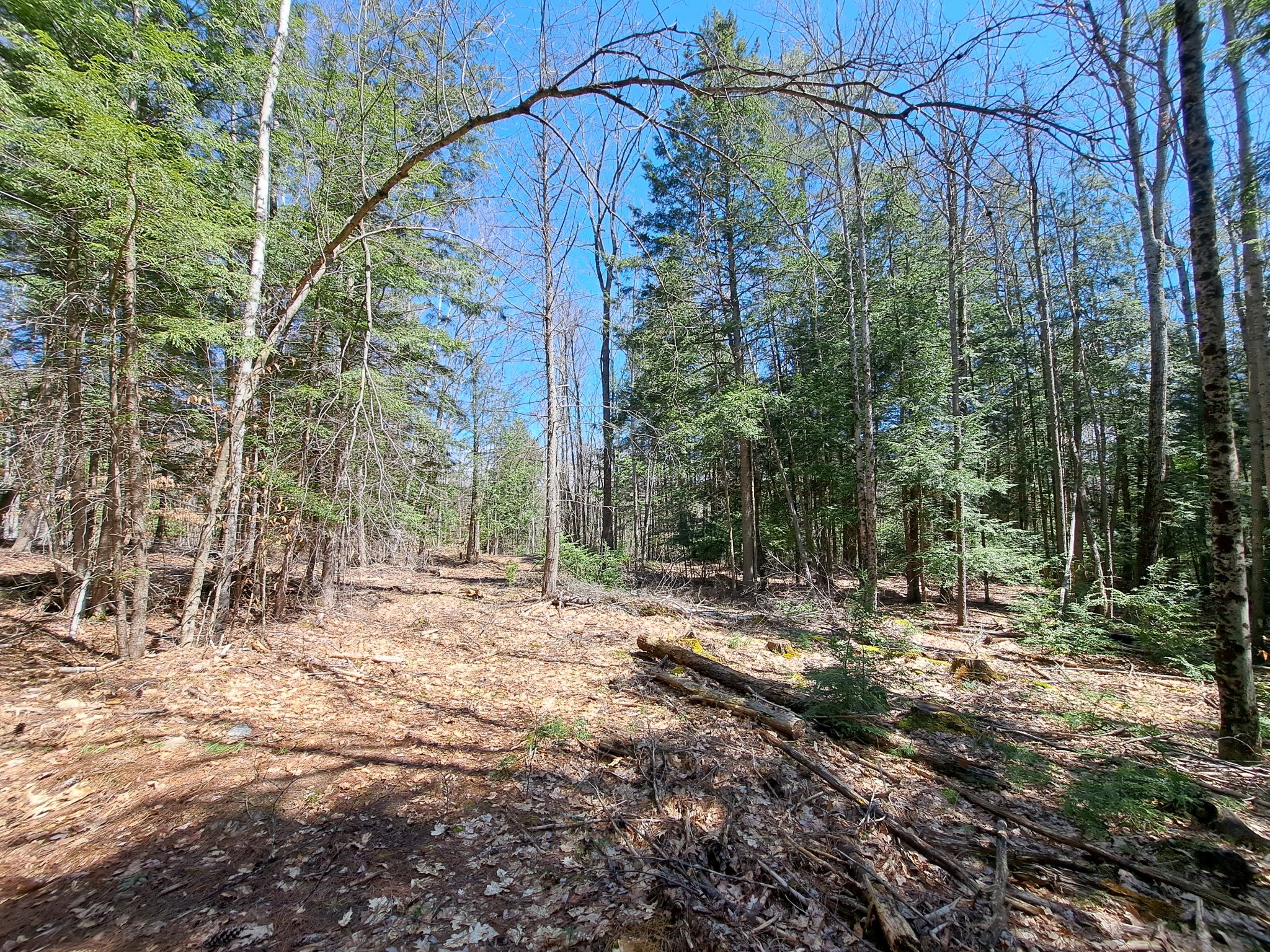Listing Image 38