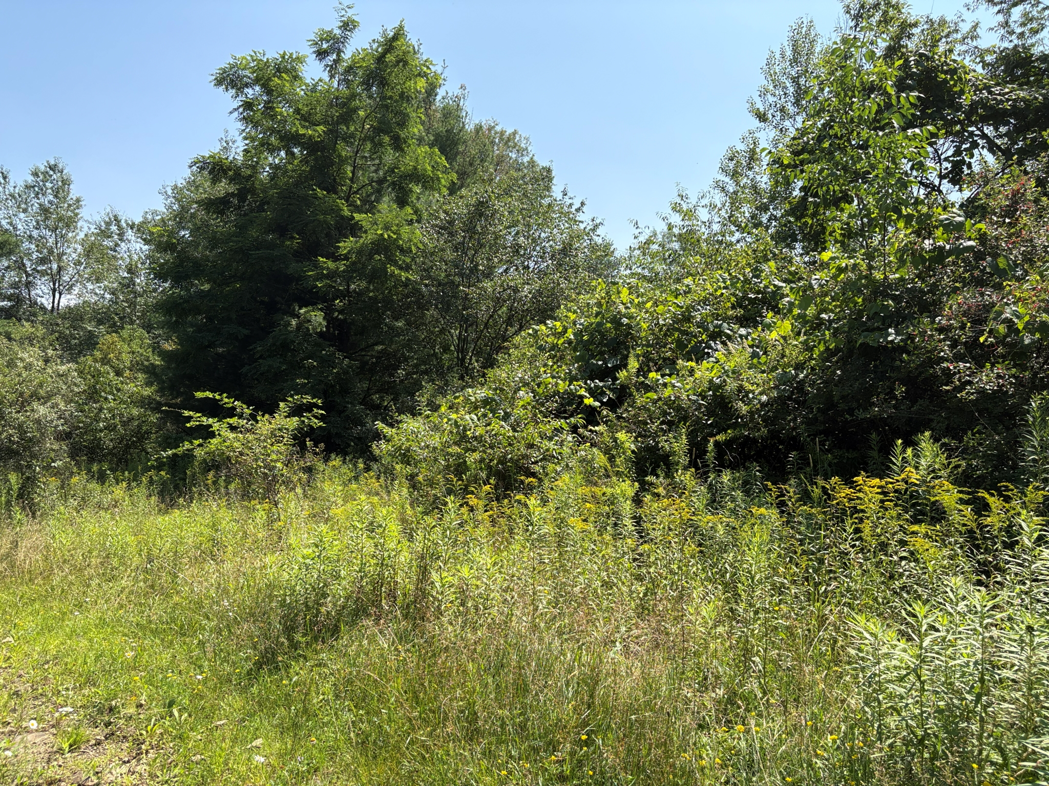 Listing Image 29