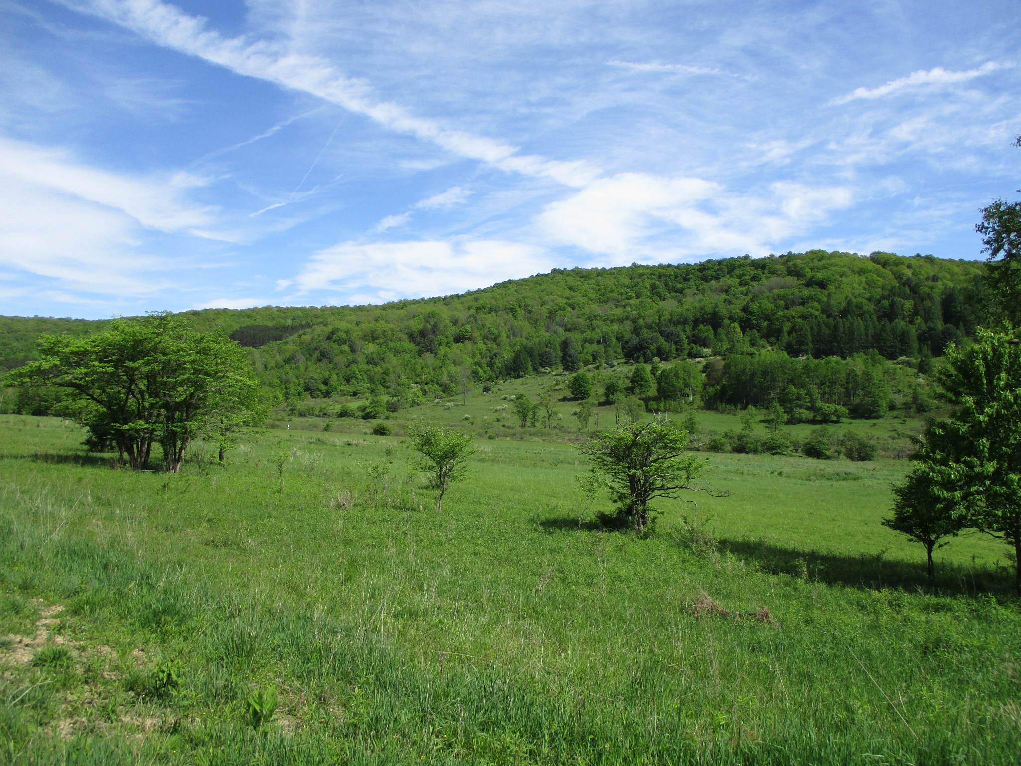 Long View Acres